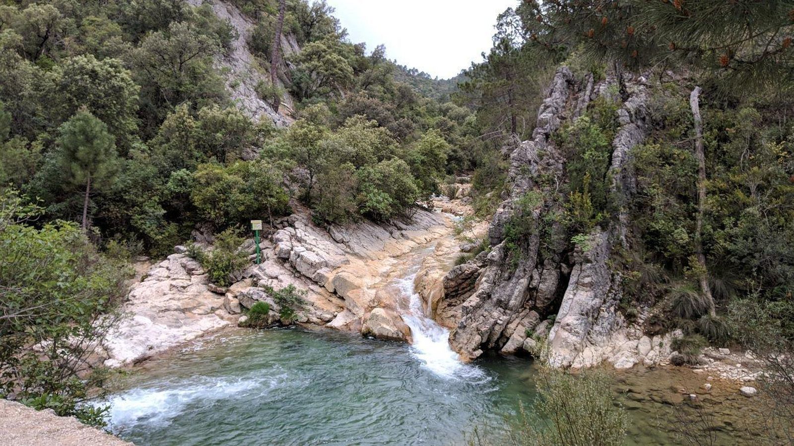Una estampa del Río Borosa.
