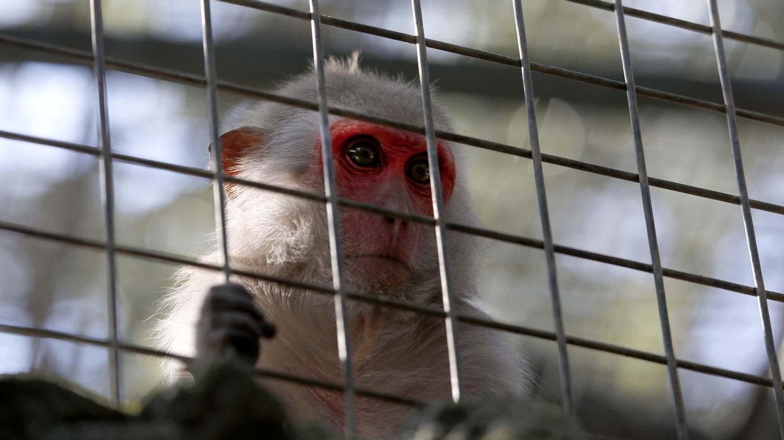 Las fotos del Zoo de Castellar de la Frontera