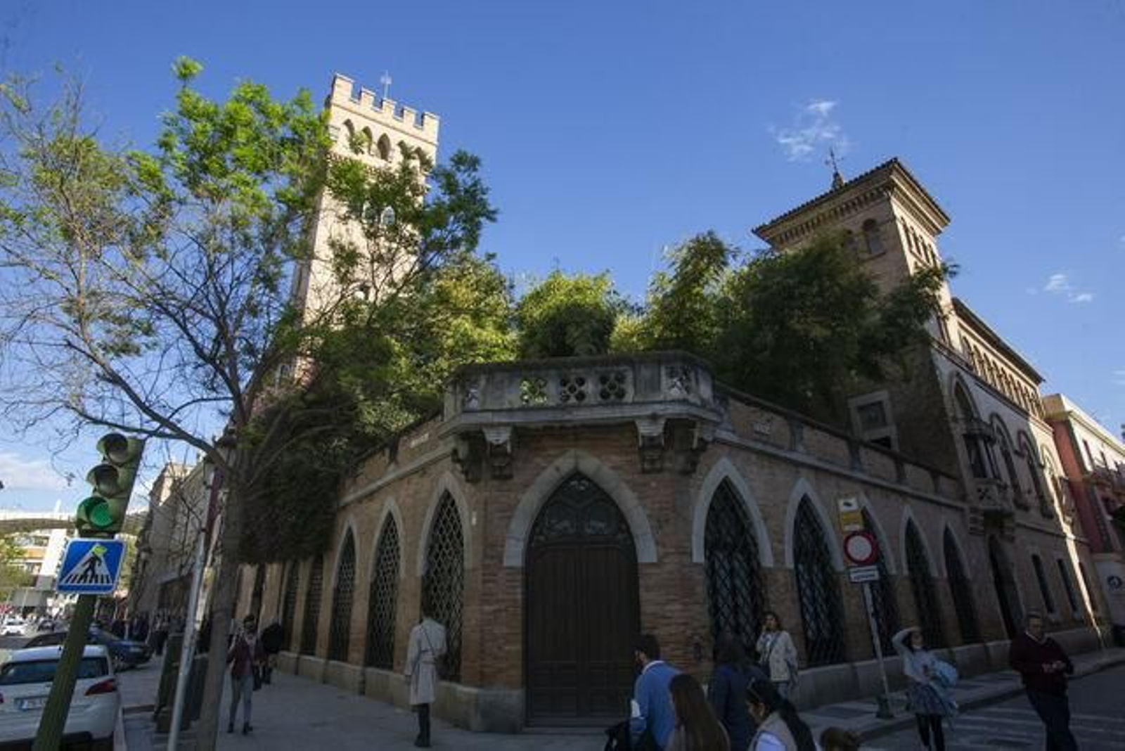 El bambú del Palacio de la Motilla