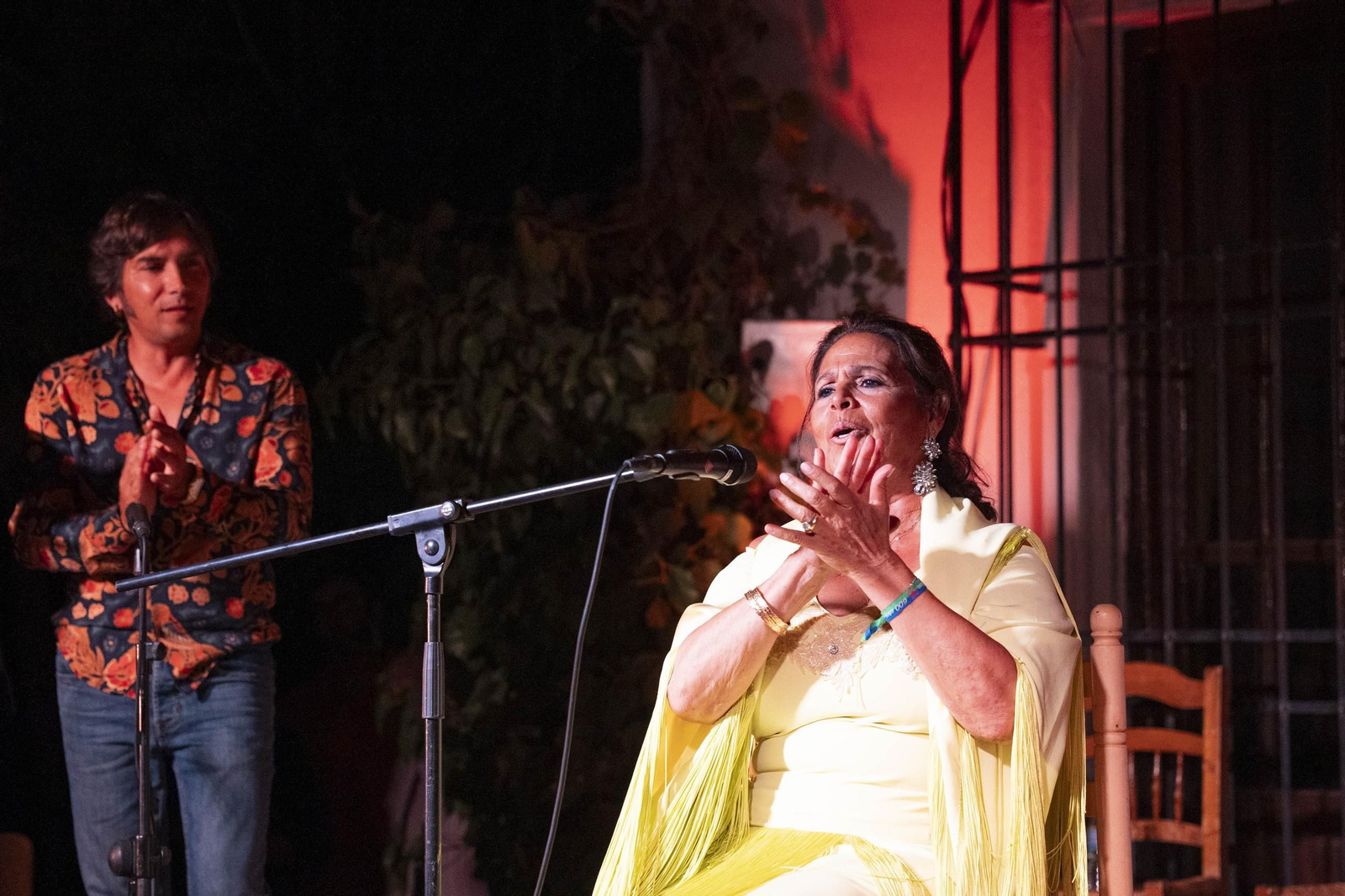 Las mejores imágenes del Festival de Flamenco en Fondón
