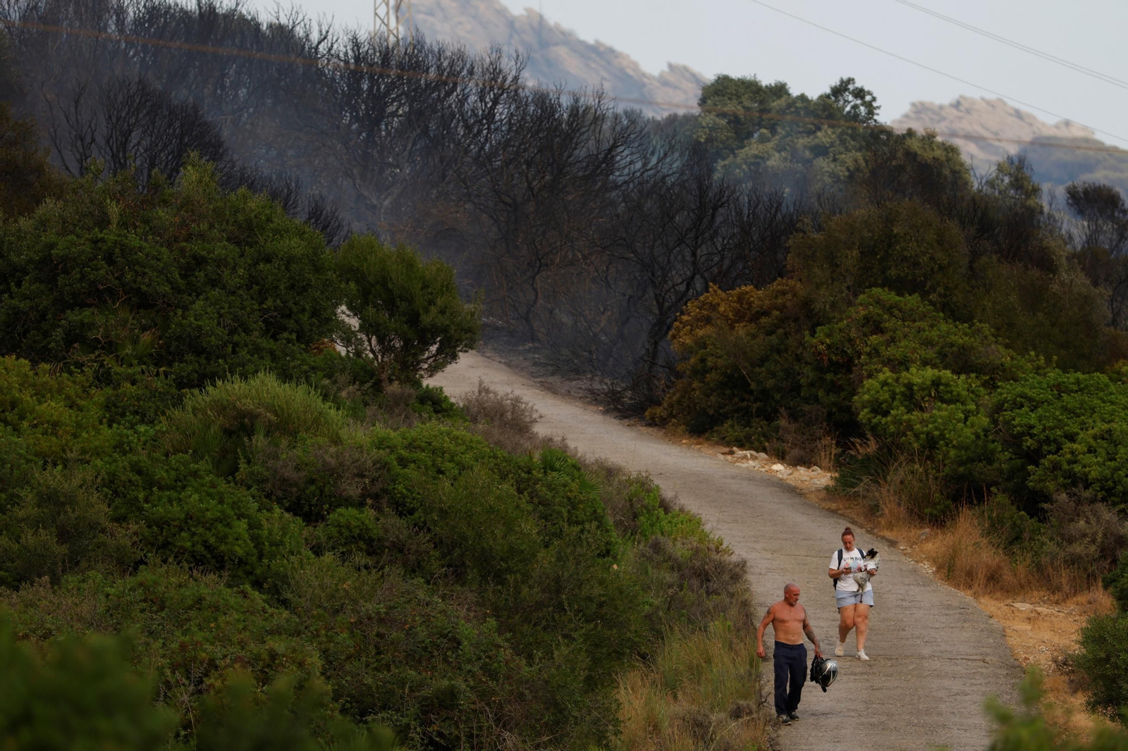 Las imágenes del incendio de Tarifa: más de un centenar de efectivos para controlar las llamas