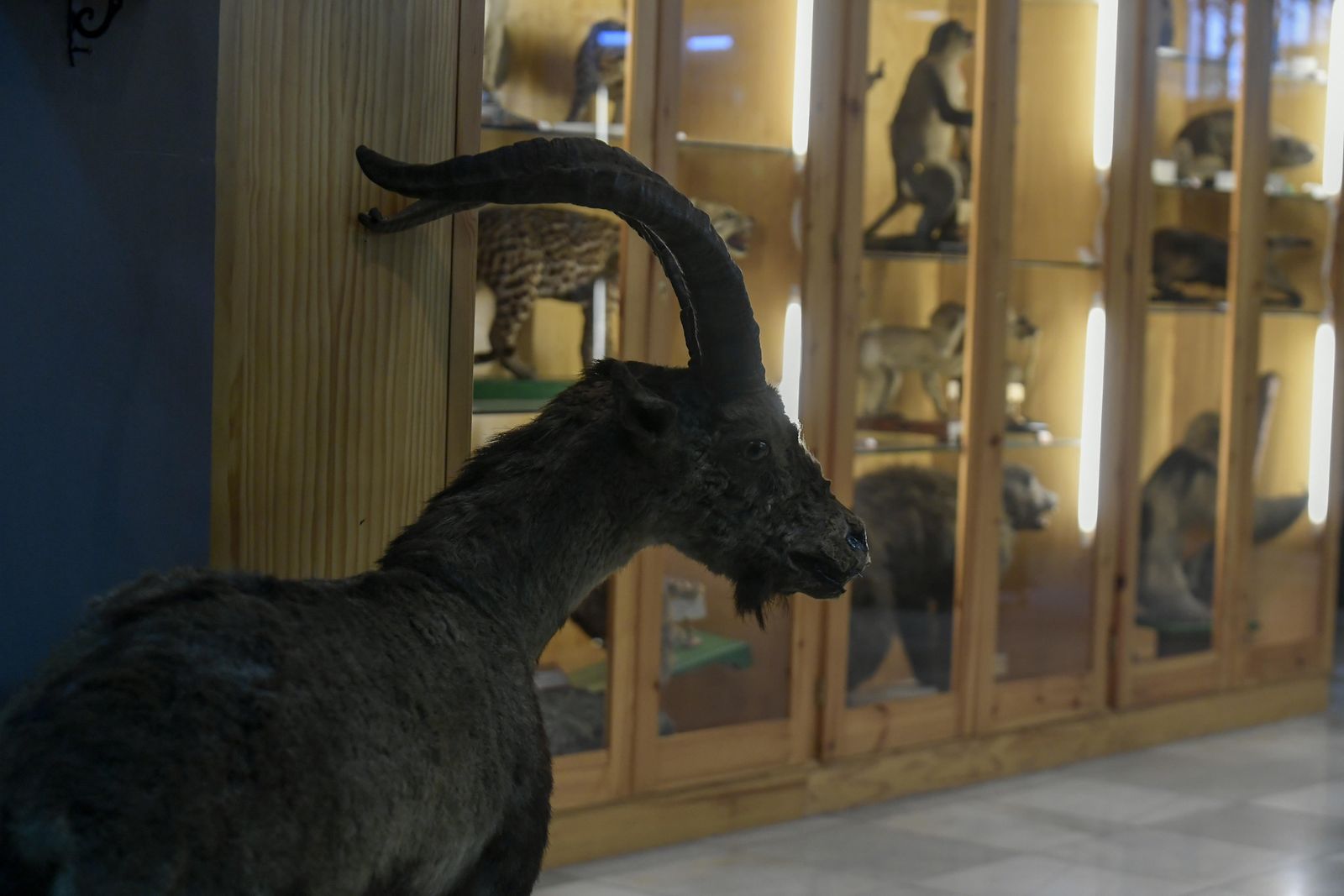 La inauguración del Museo de Ciencia del IES Padre Suárez de Granada, en imágenes