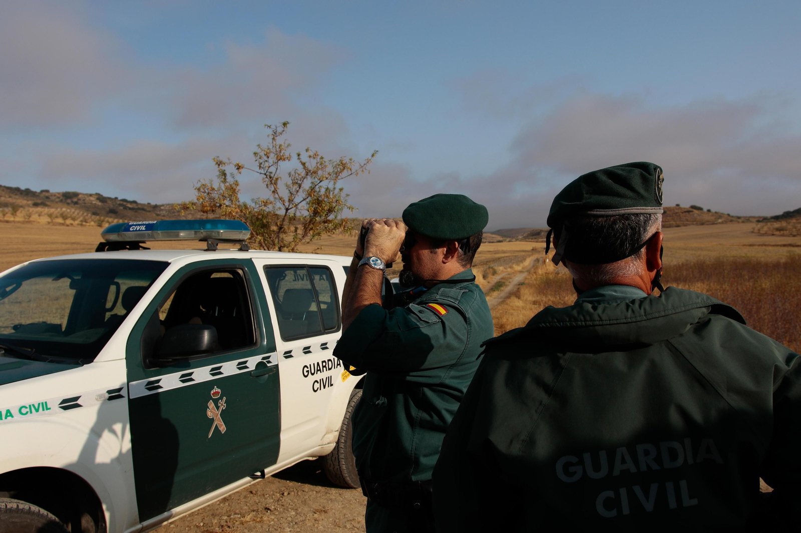 Así busca el Seprona de Granada a la pantera o el gato grande de Ventas de Huelma