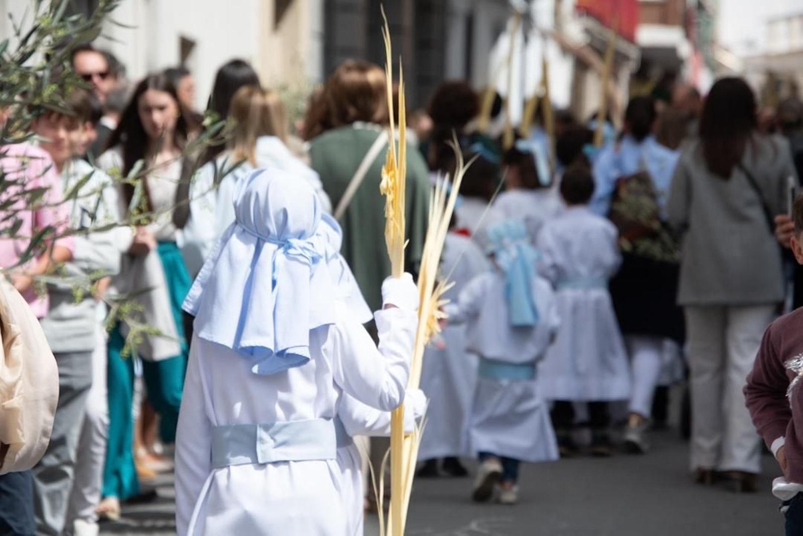 La procesión de la Borriquita de Montilla