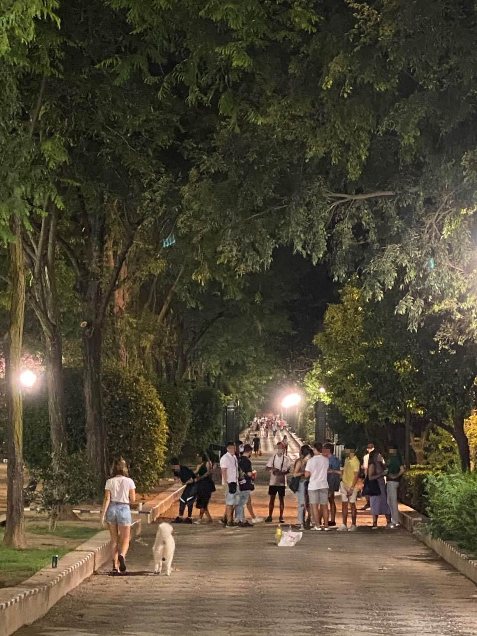 Un grupo de jóvenes bebiendo en el paseo de Catalina de Ribera.