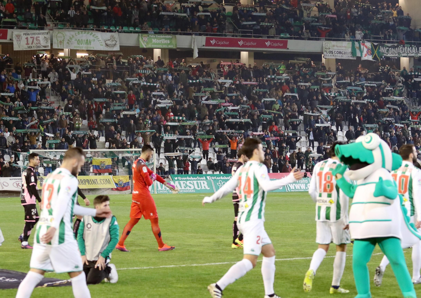 Córdoba-Rayo Vallecano, en imágenes