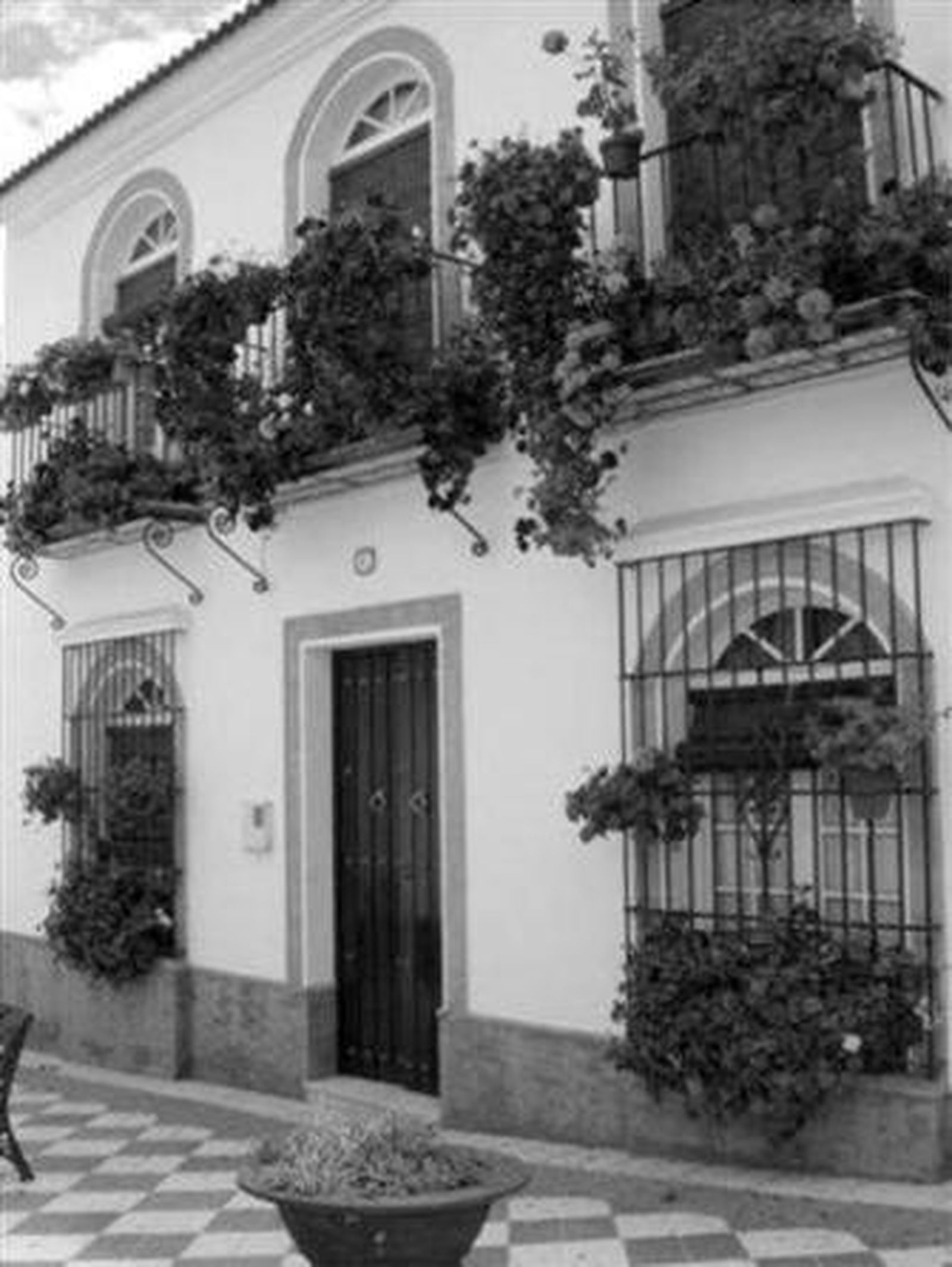 Cartaya invita a sus vecinos a engalanar sus balcones con flores
