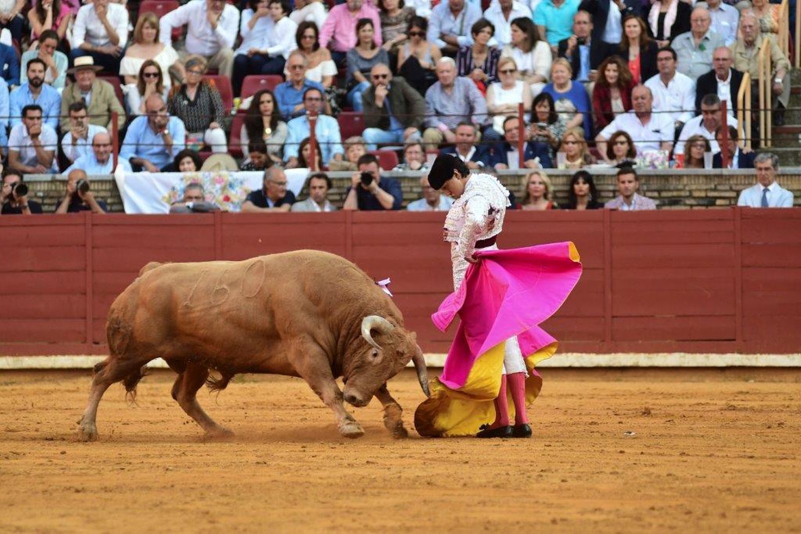 Tarde de sábado en Los Califas