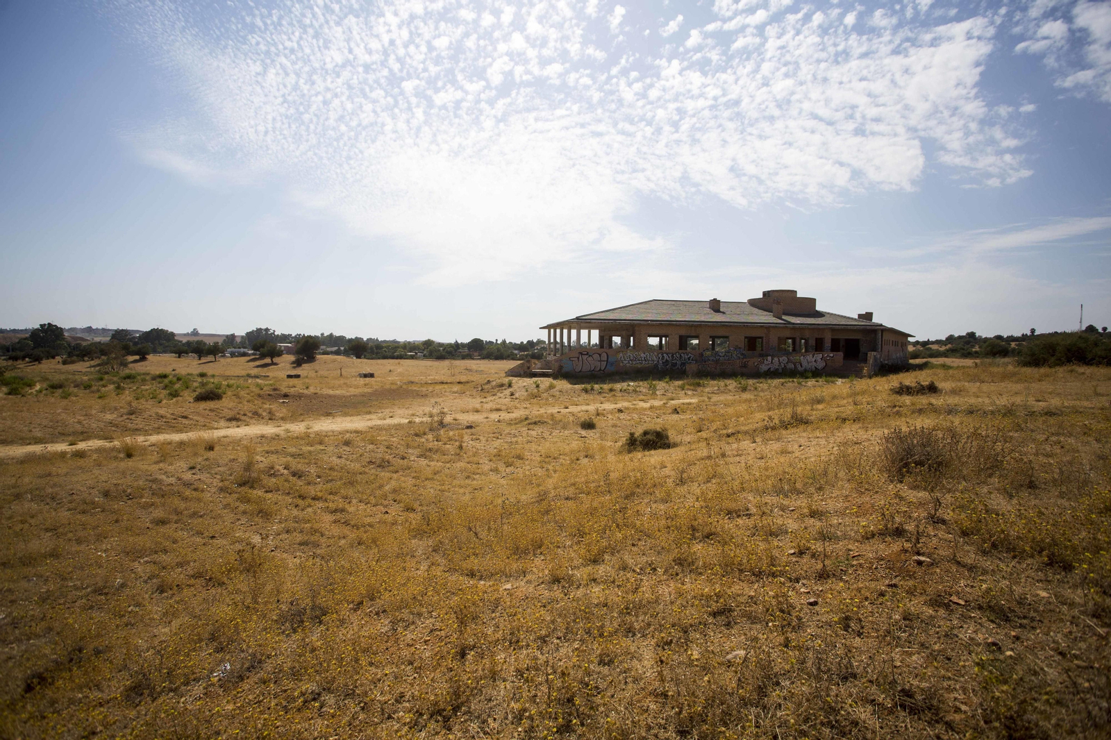 Una vista de los suelos que el Ayuntamiento ha sacado al concurso a través de la empresa del Hipódromo, Apuesta Mutua Andaluza SAU.