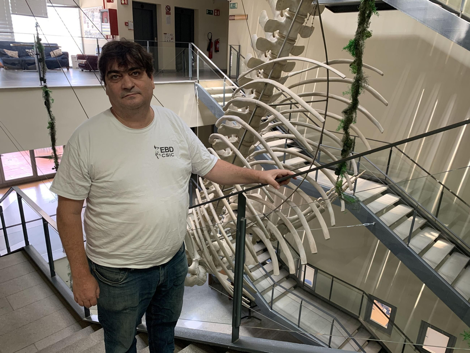 profesor de investigación del CSIC en la Estación Biológica de Doñana, Jordi Figuerola