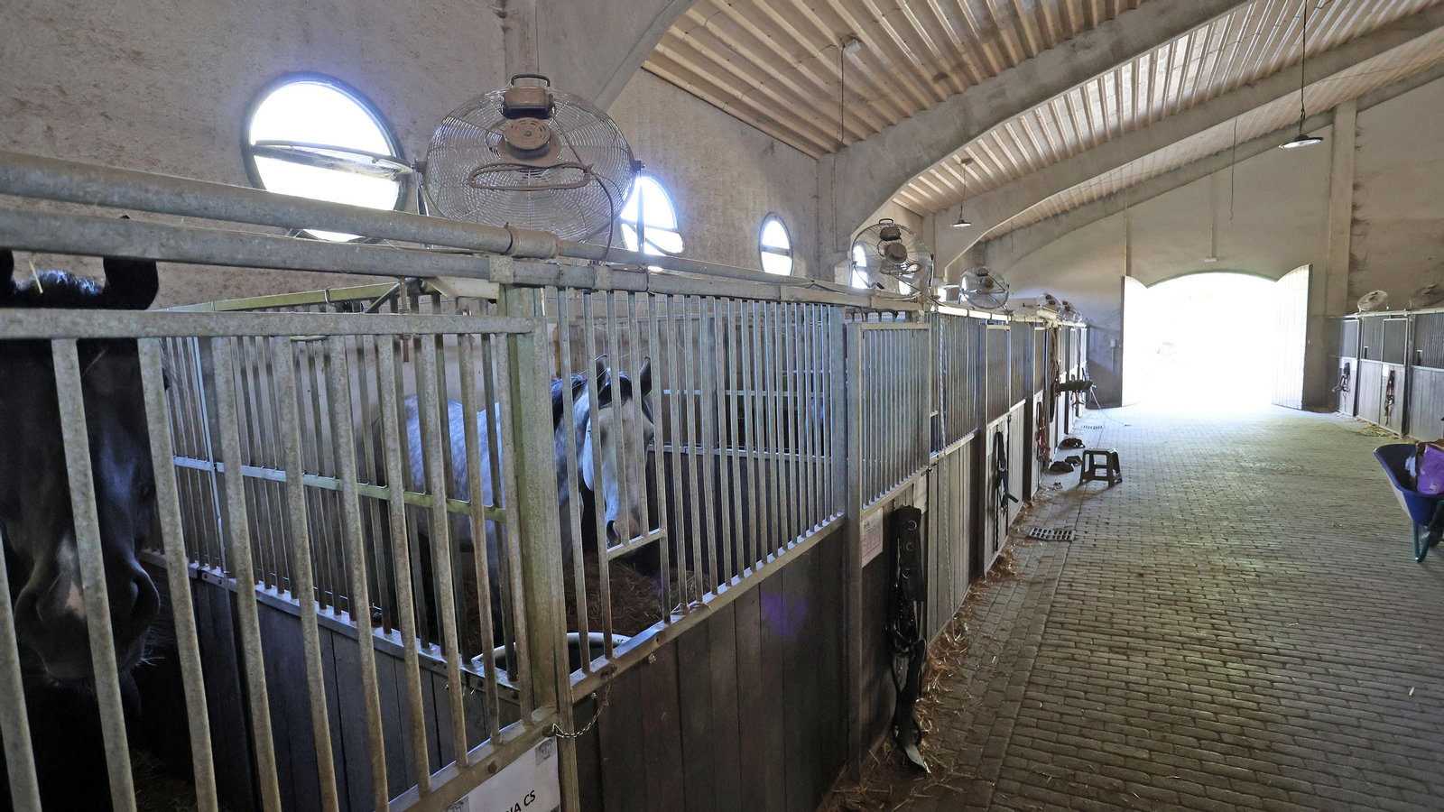 Imágenes del Complejo Hípico de Chapín de Ganadería Alpende