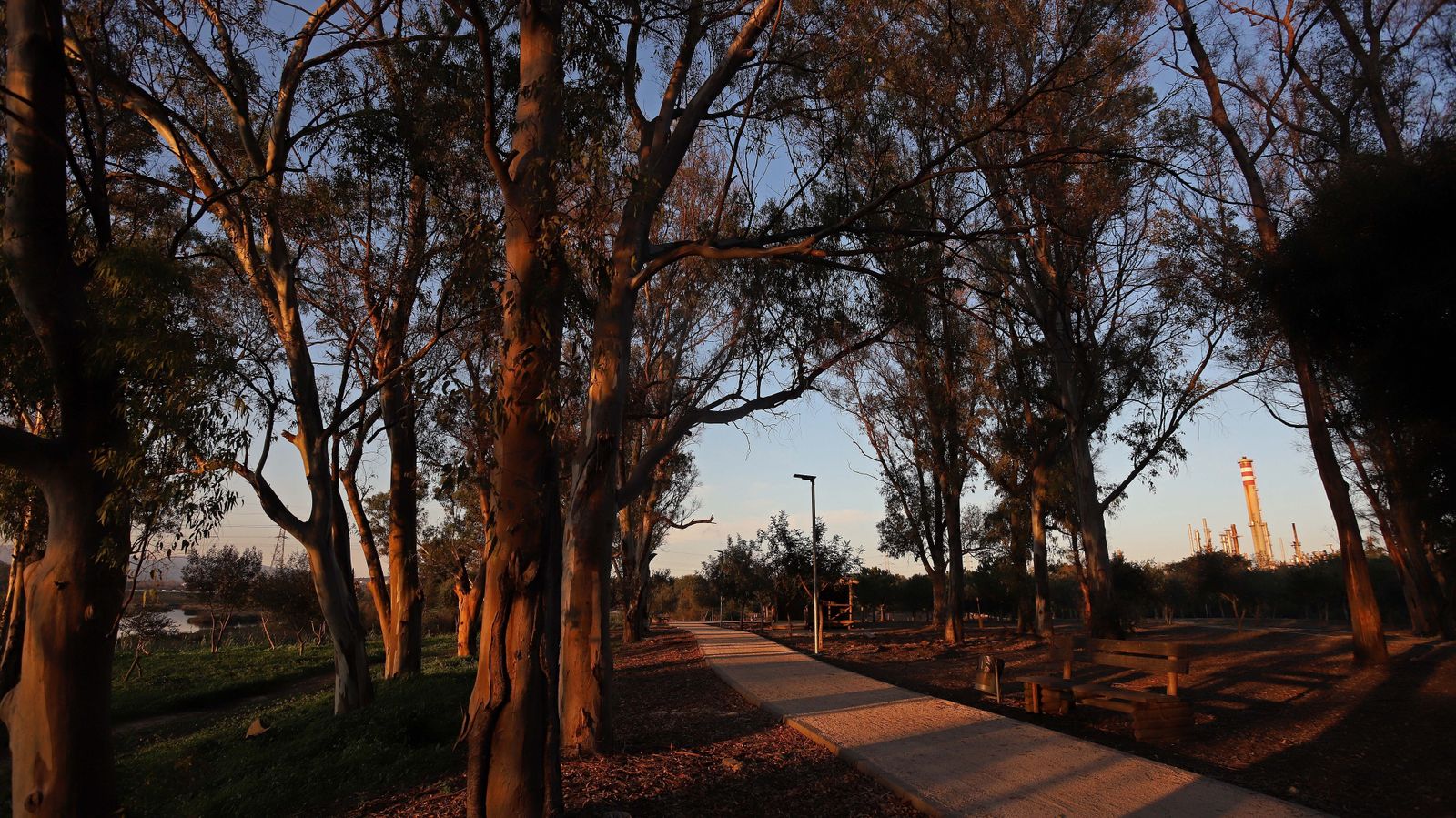 Sendero del arroyo de la Madre Vieja en San Roque