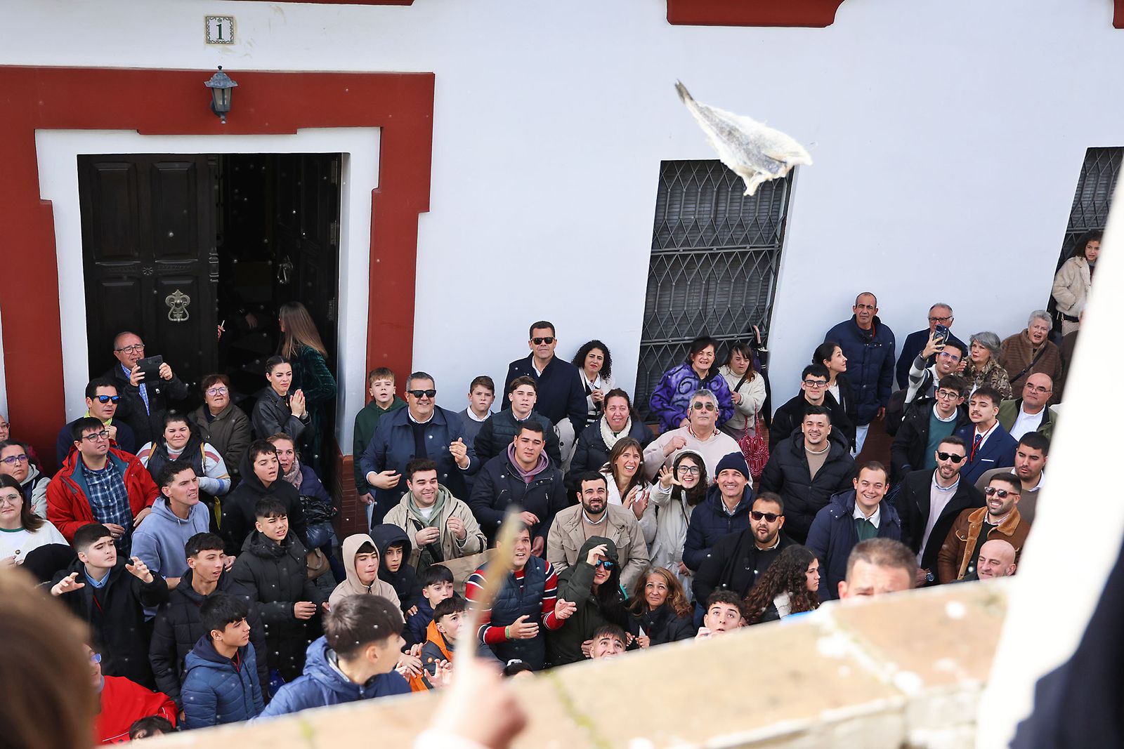 Las mejores fotografías de las Tiradas a San Antonio Abad en Trigueros