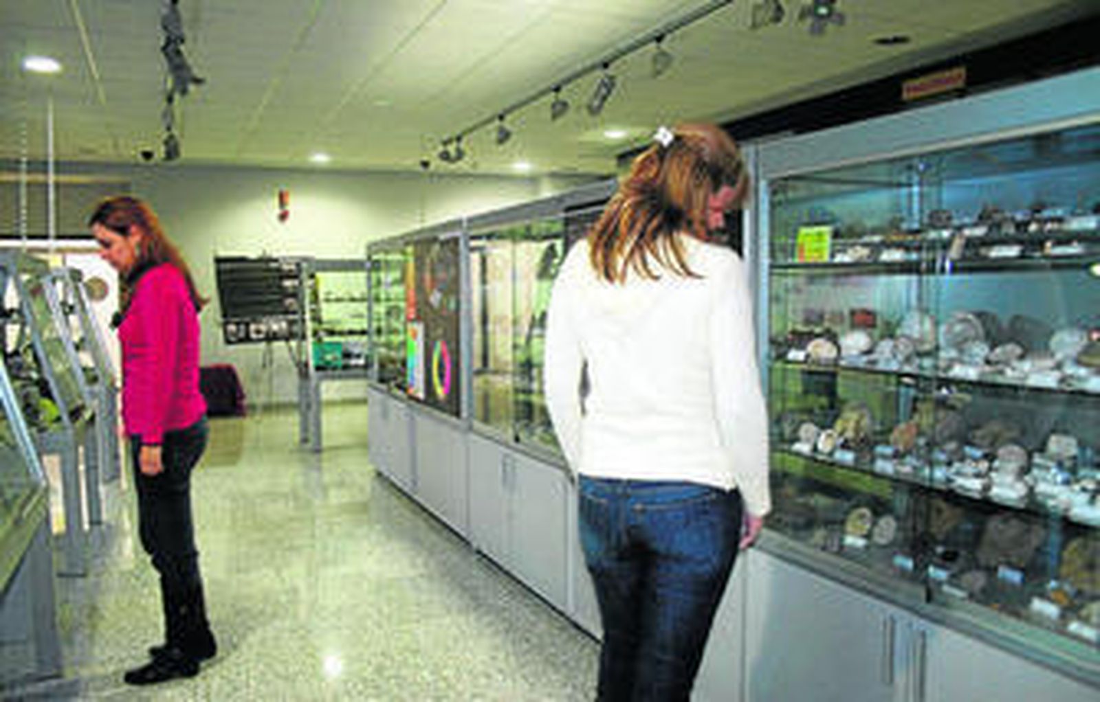 Visitantes en la exposición de la colección geológica en el Citius de Reina Mercedes