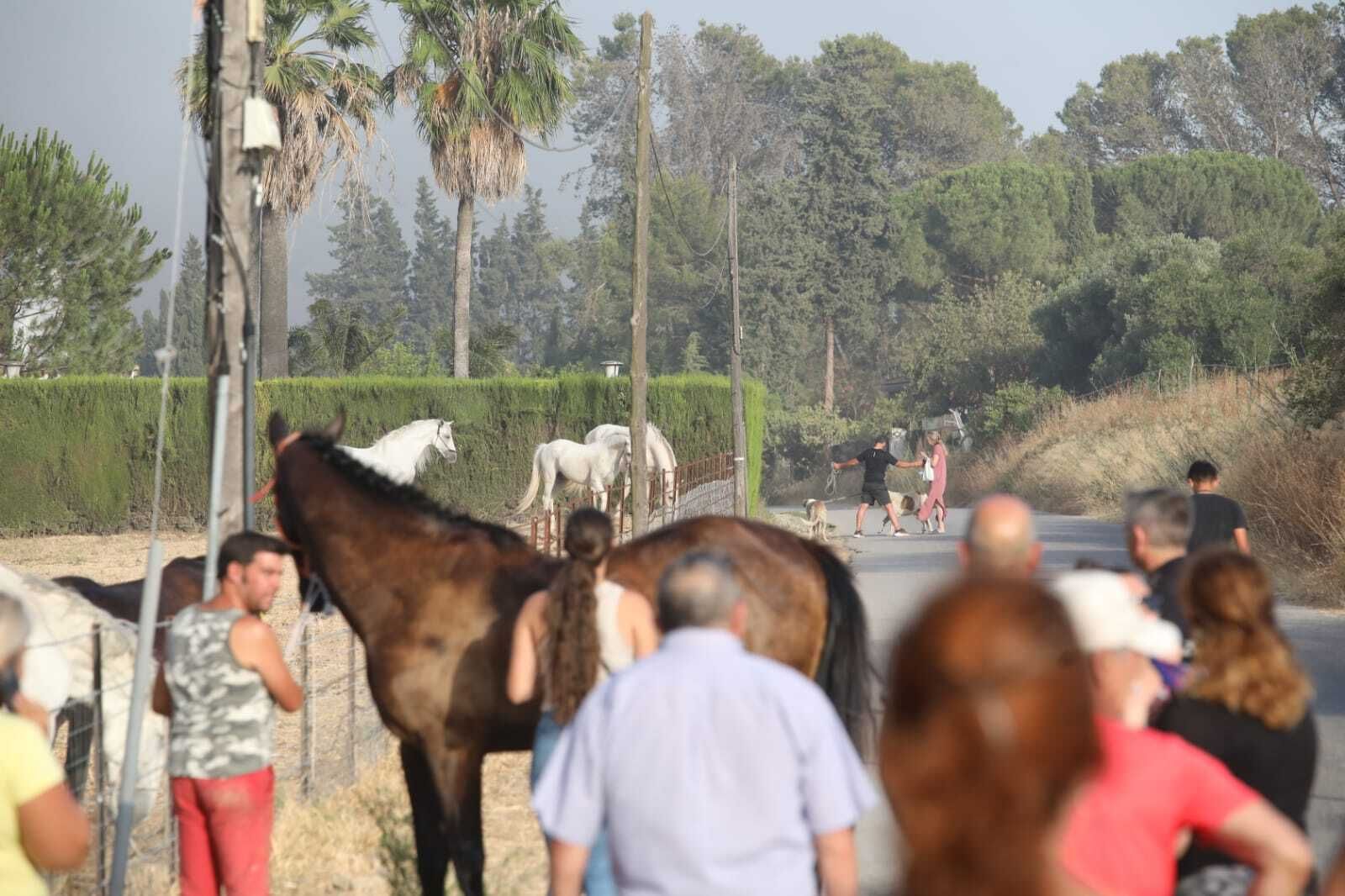Incendio en Jerez: desalojos por precaución en el Serrallo y La Teja