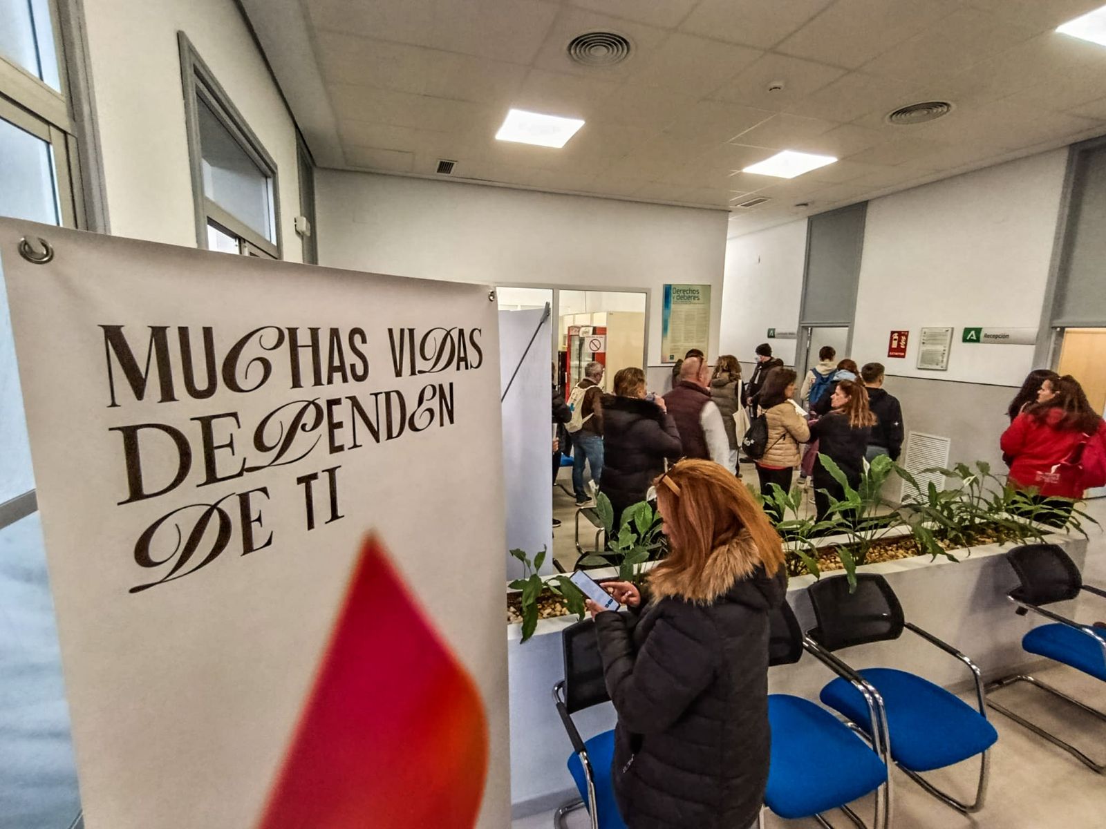Personas llegadas de toda Andalucía donan sangre en Córdoba para los afectados de la tragedia, en fotografías