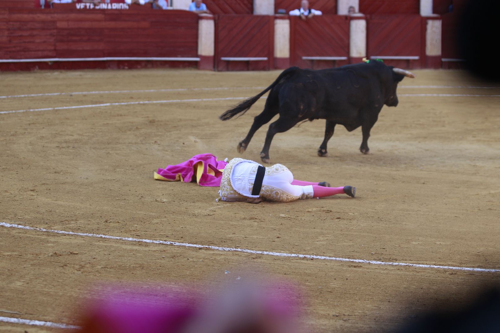 Imágenes del triunfo del torero almeriense Jorge Martínez el día de su alternativa