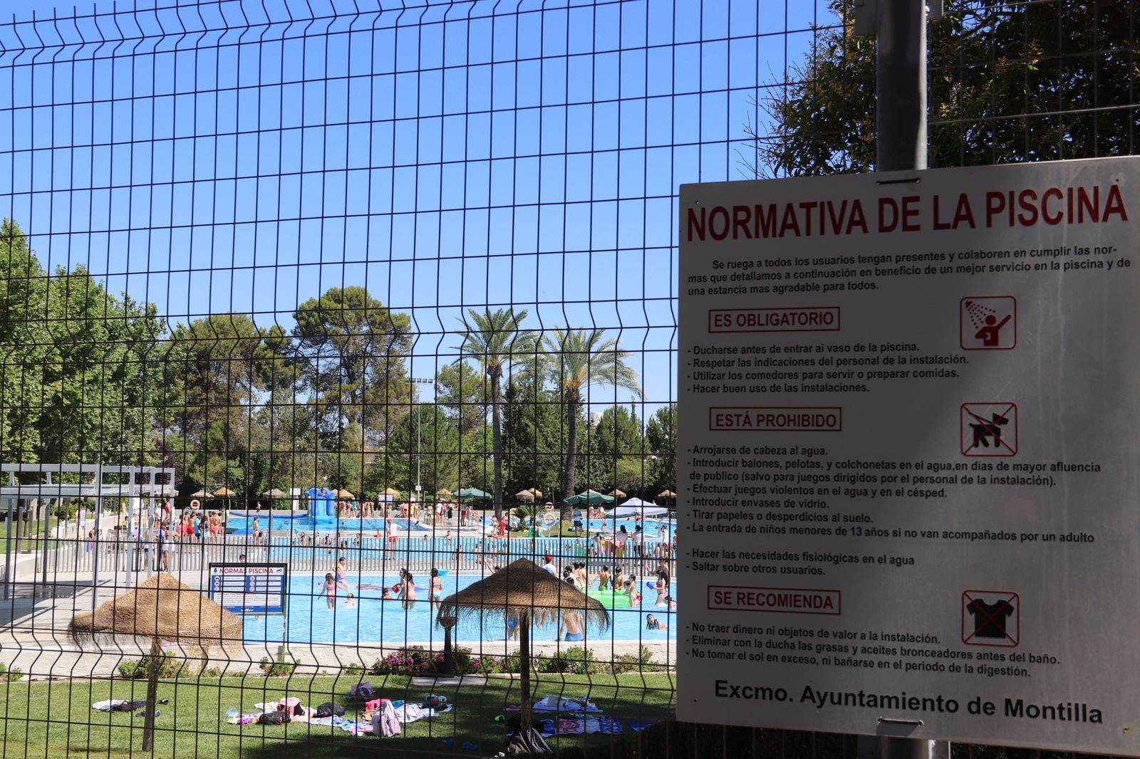 Usuarios de las piscinas municipales de Montilla