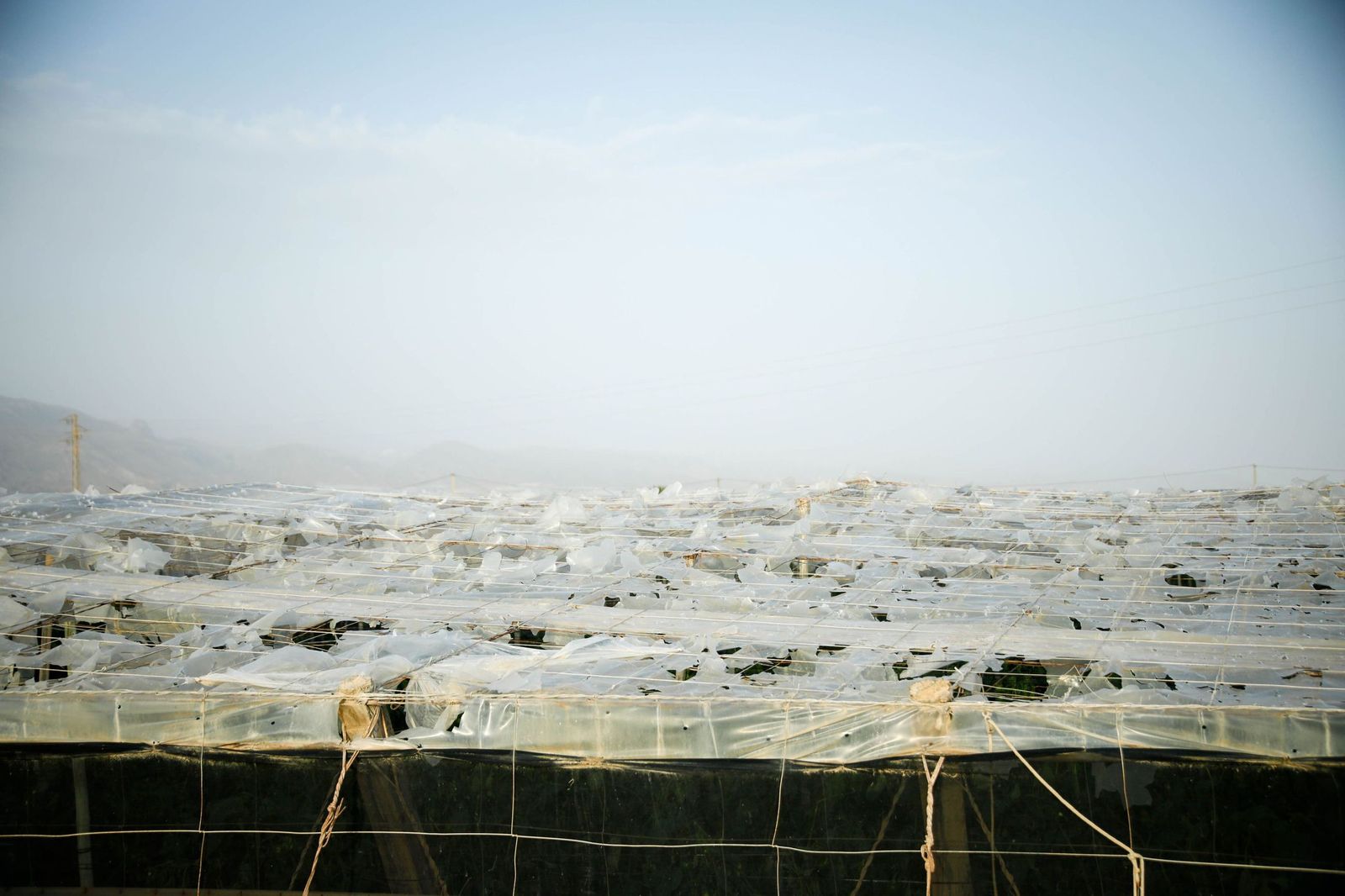Imagen de archivo de un invernadero afectado por un temporal.