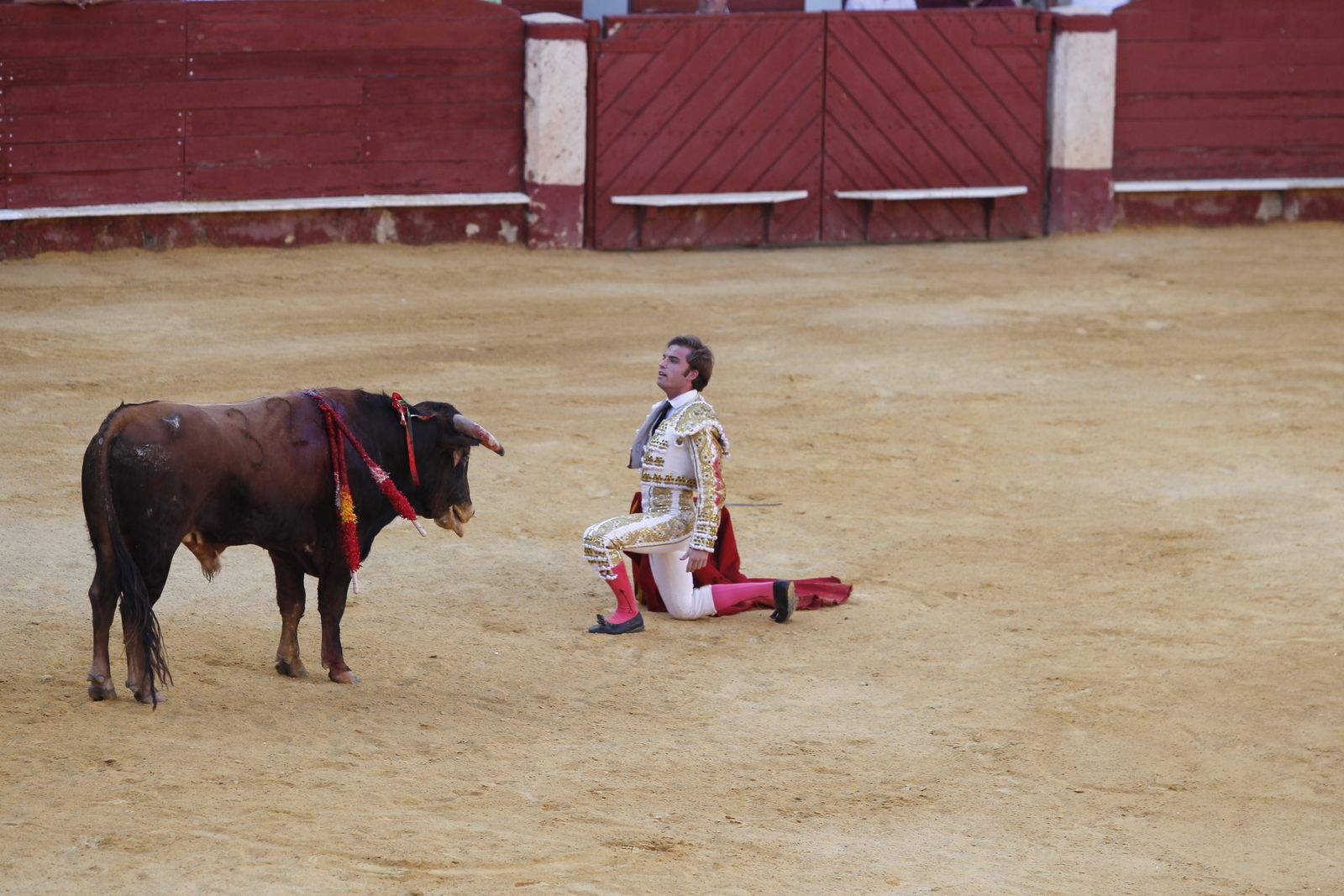 Fotogalería novillada Escuela Taurina de Almería. Feria de Almería 2019