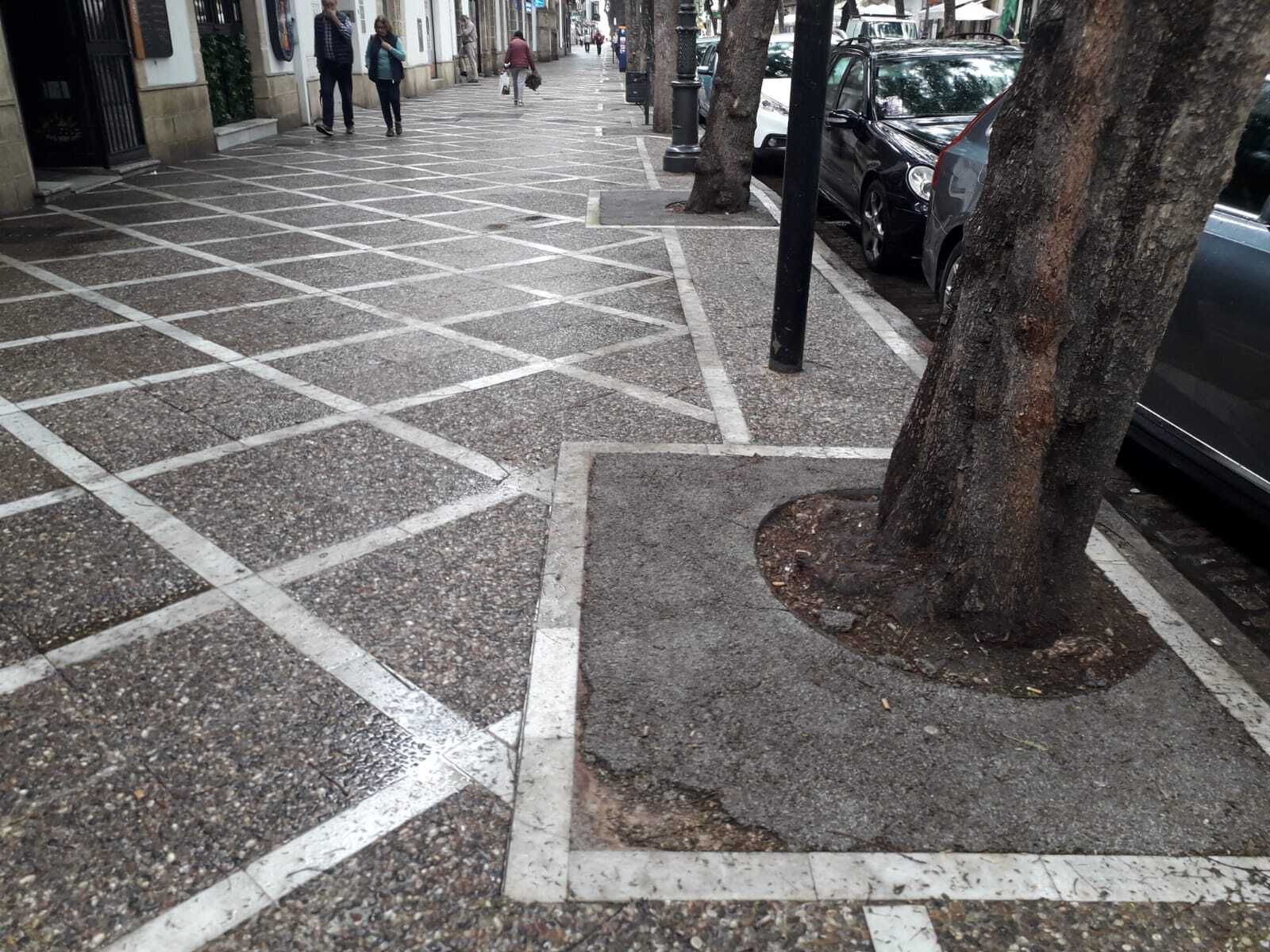 Estado del relleno de los alcorques de la calle Porvera.