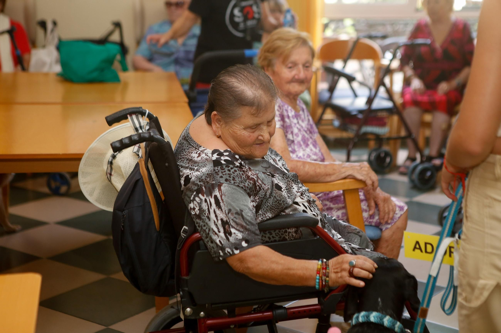 La visita de los perros de la protectora de Los Barrios a la residencia de mayores, en imágenes