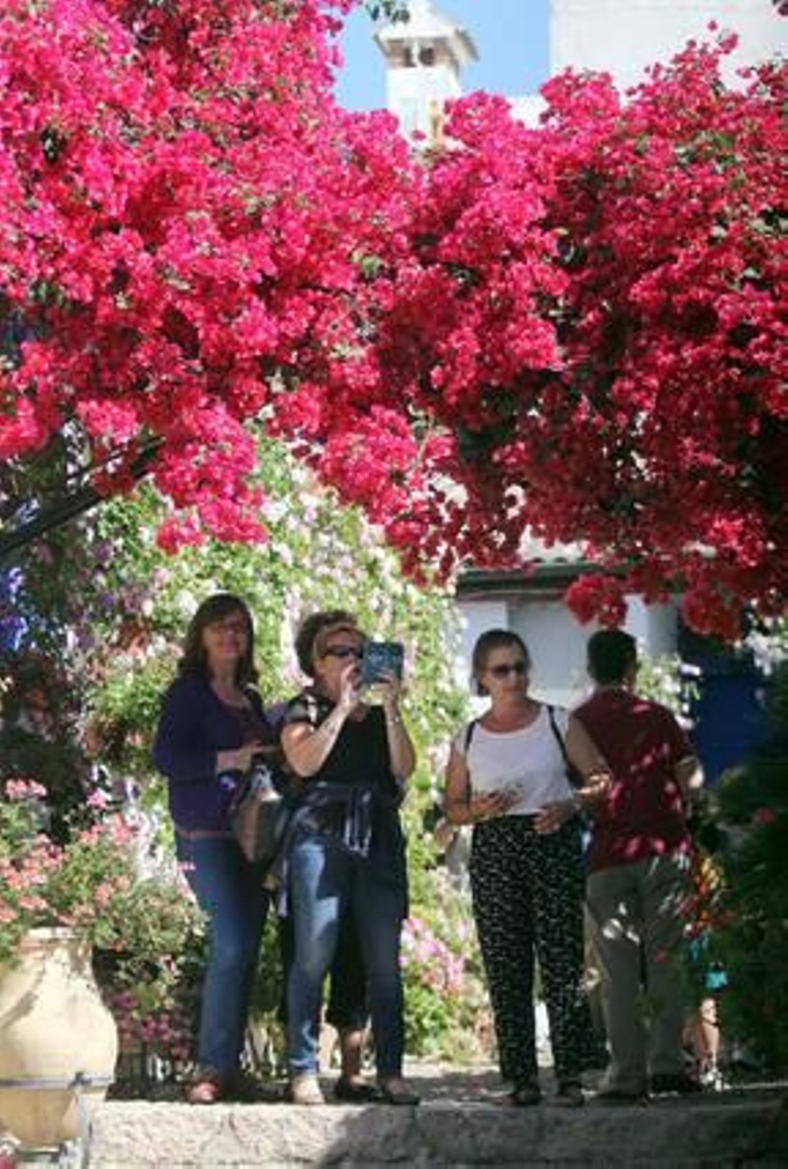 Marroquíes 6.

Foto: Jose Martinez