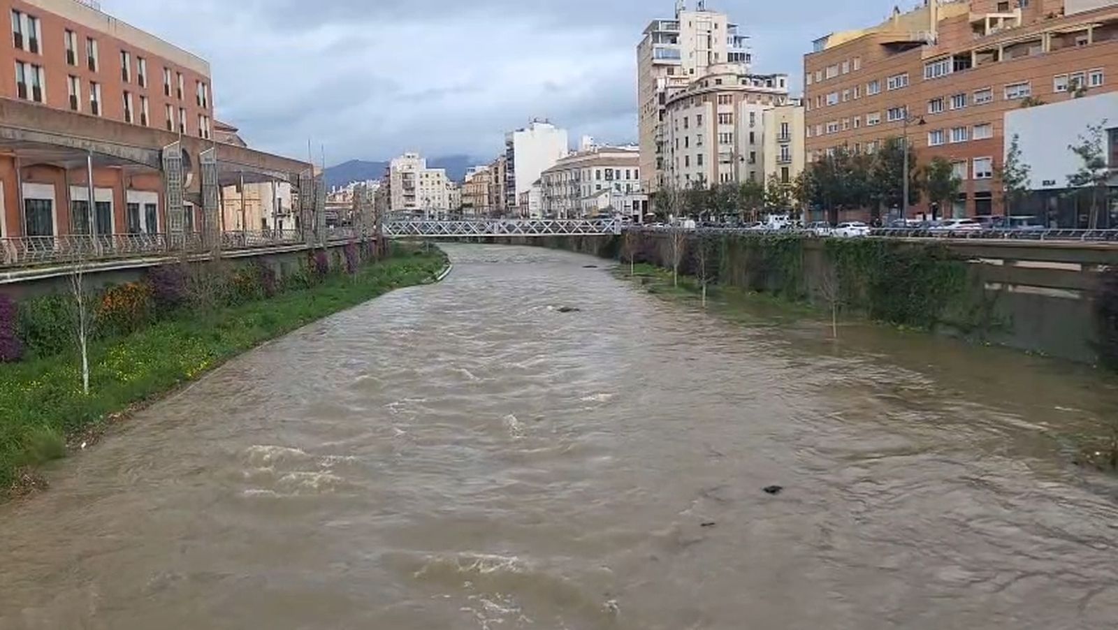El Guadalmedina aumenta su caudal a su paso por el centro de Málaga por las lluvias