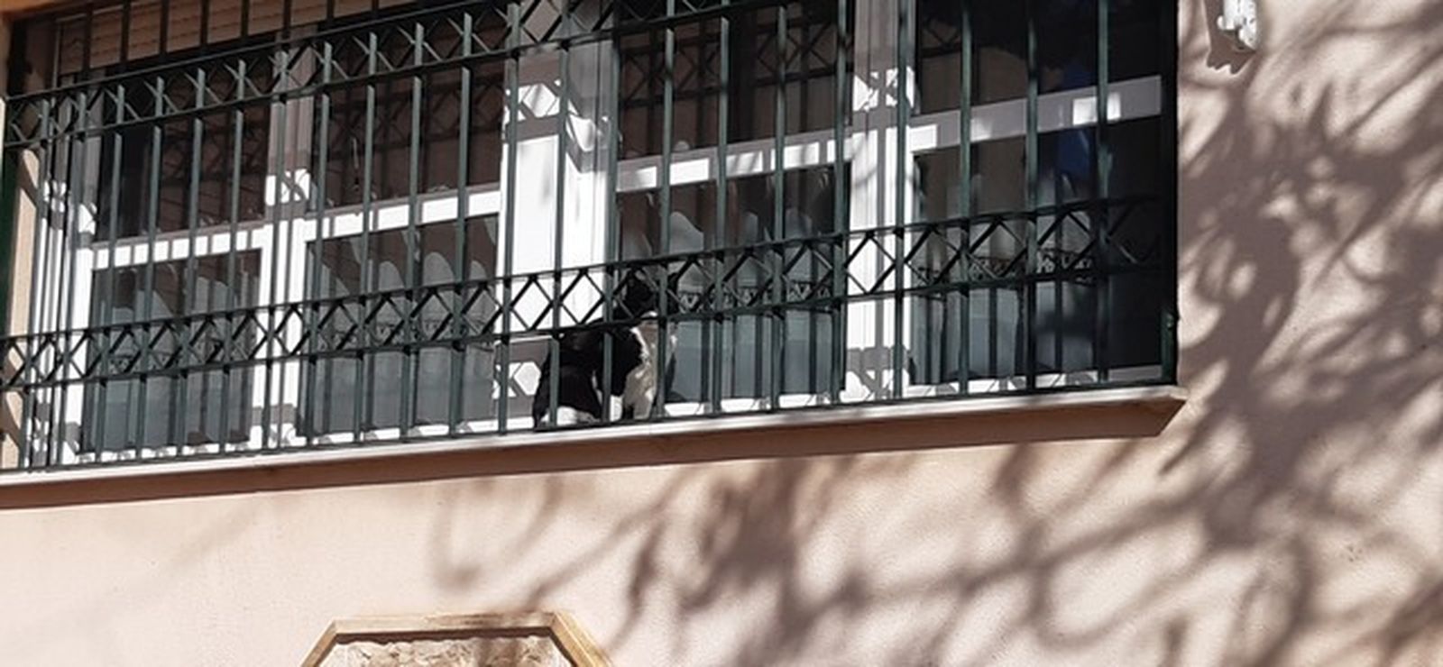 Entre barrotes pero al sol que más calienta