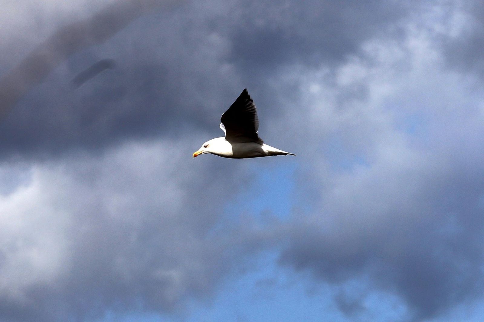 Imágenes del domingo 17 de septiembre en Huelva