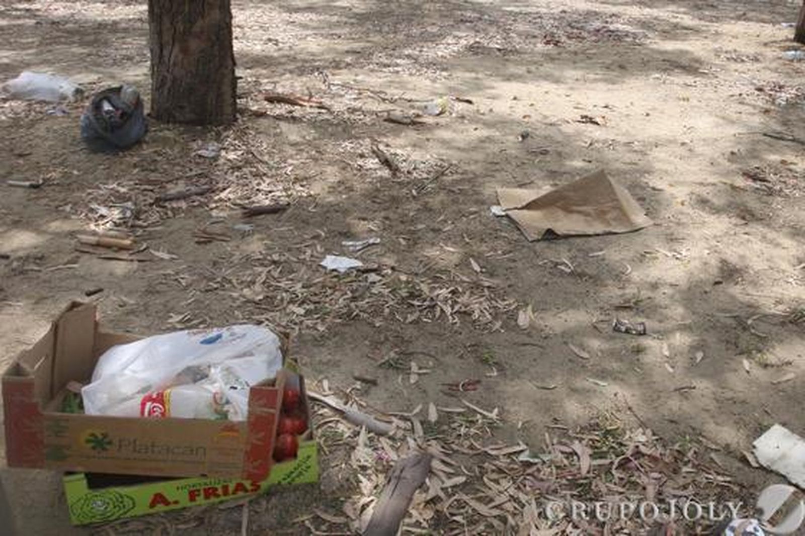 Imagen de cajas de hortalizas que han sido allí abandonadas.

Foto: Paco Guerrero