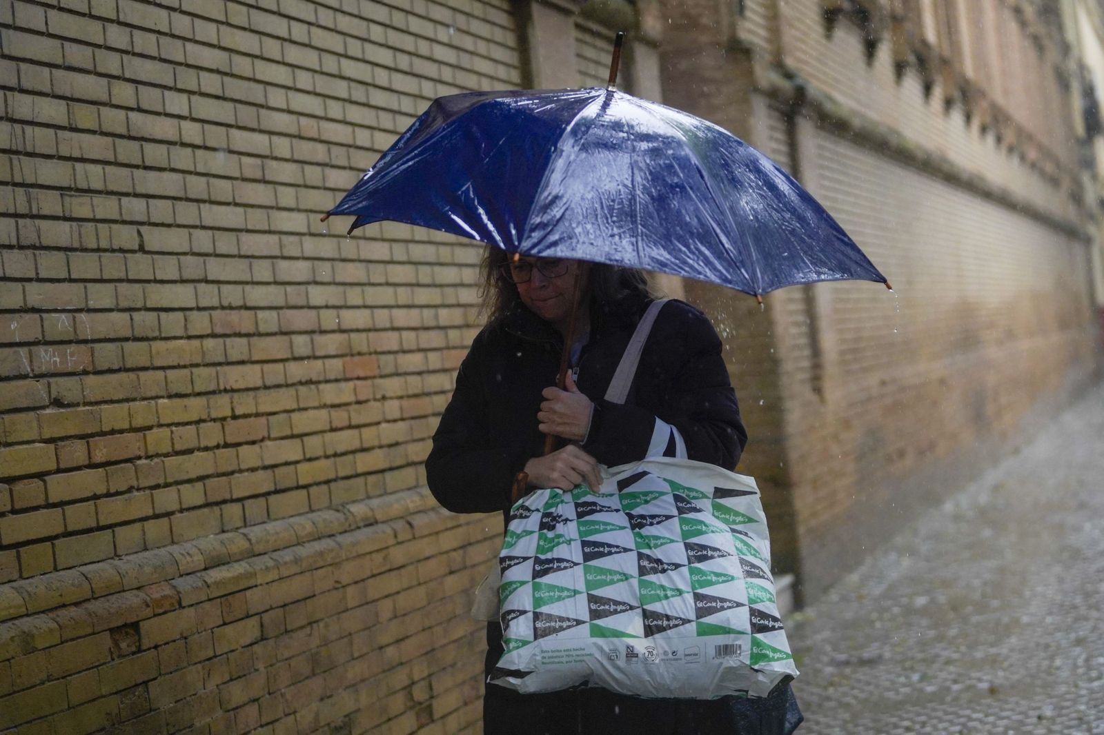 La intensa lluvia en Sevilla al paso de la Borrasca Leonardo en fotos