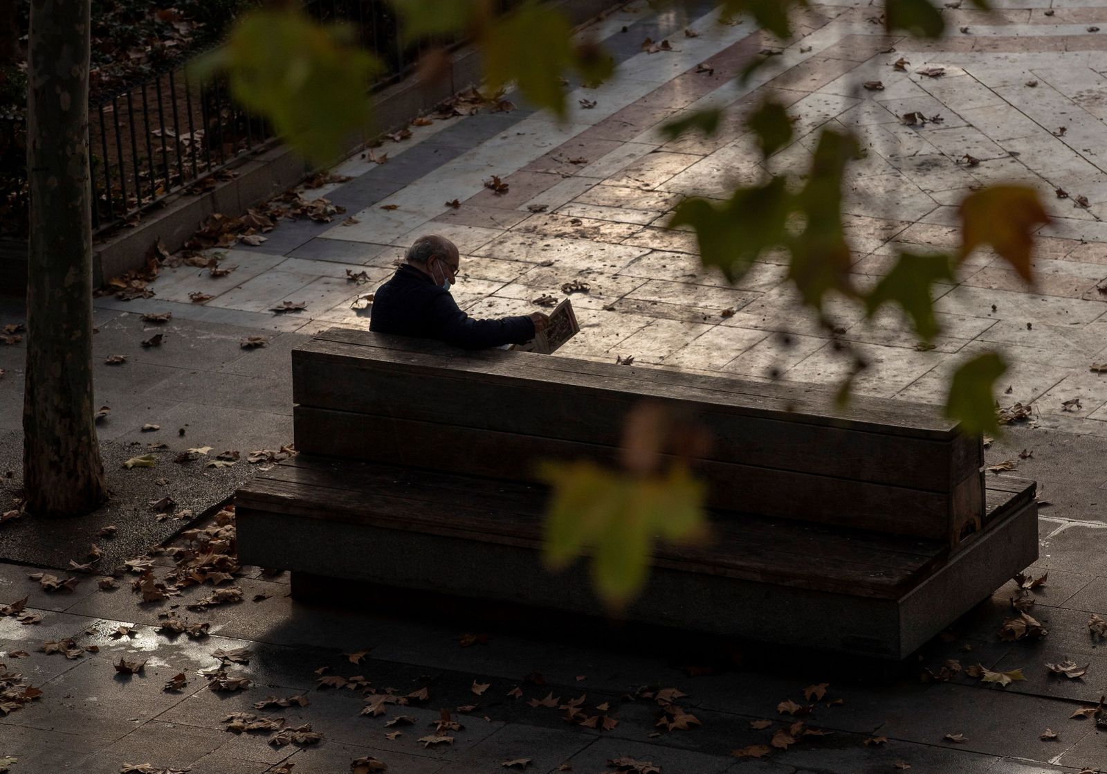 Un hombre atento a la lectura mientras las hojas de los árboles caen.
