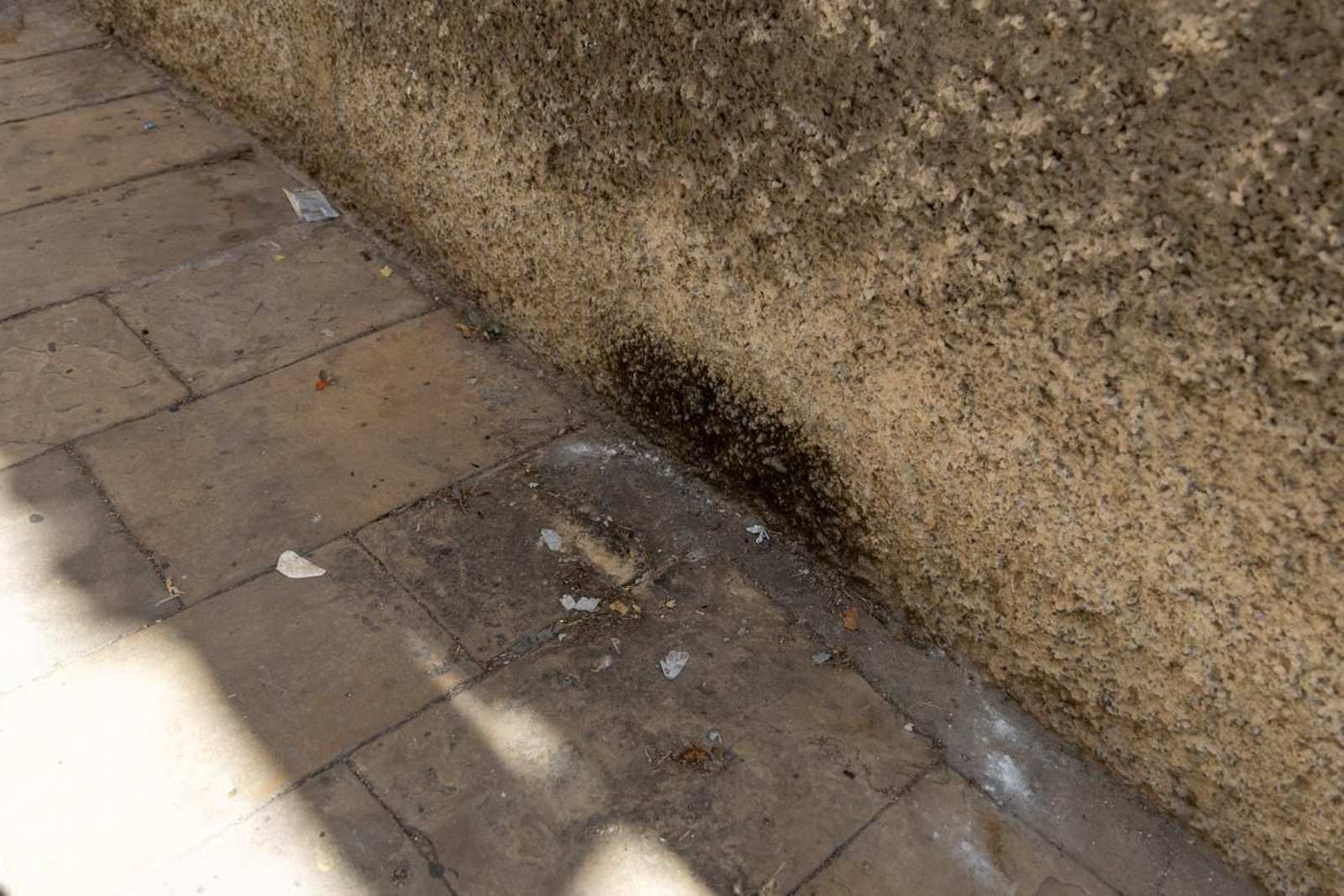 Suciedad y hierbajos toman el entorno de la Catedral de Jaén
