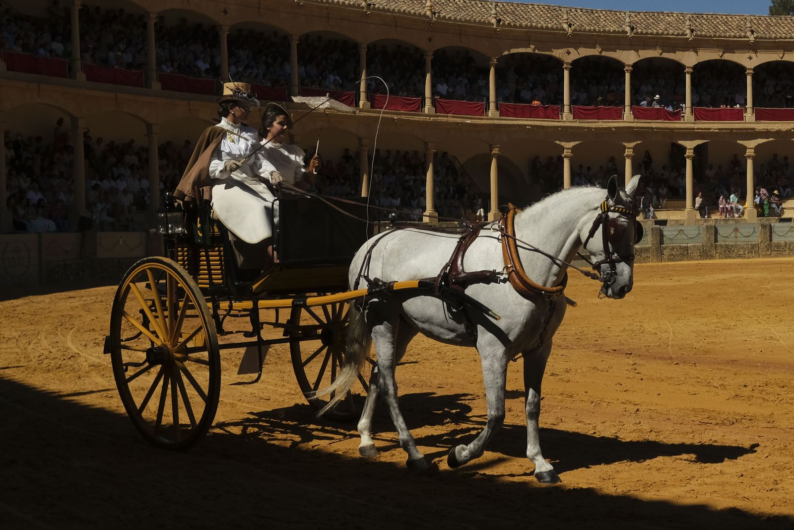 Concurso de enganches de Ronda, en fotos.