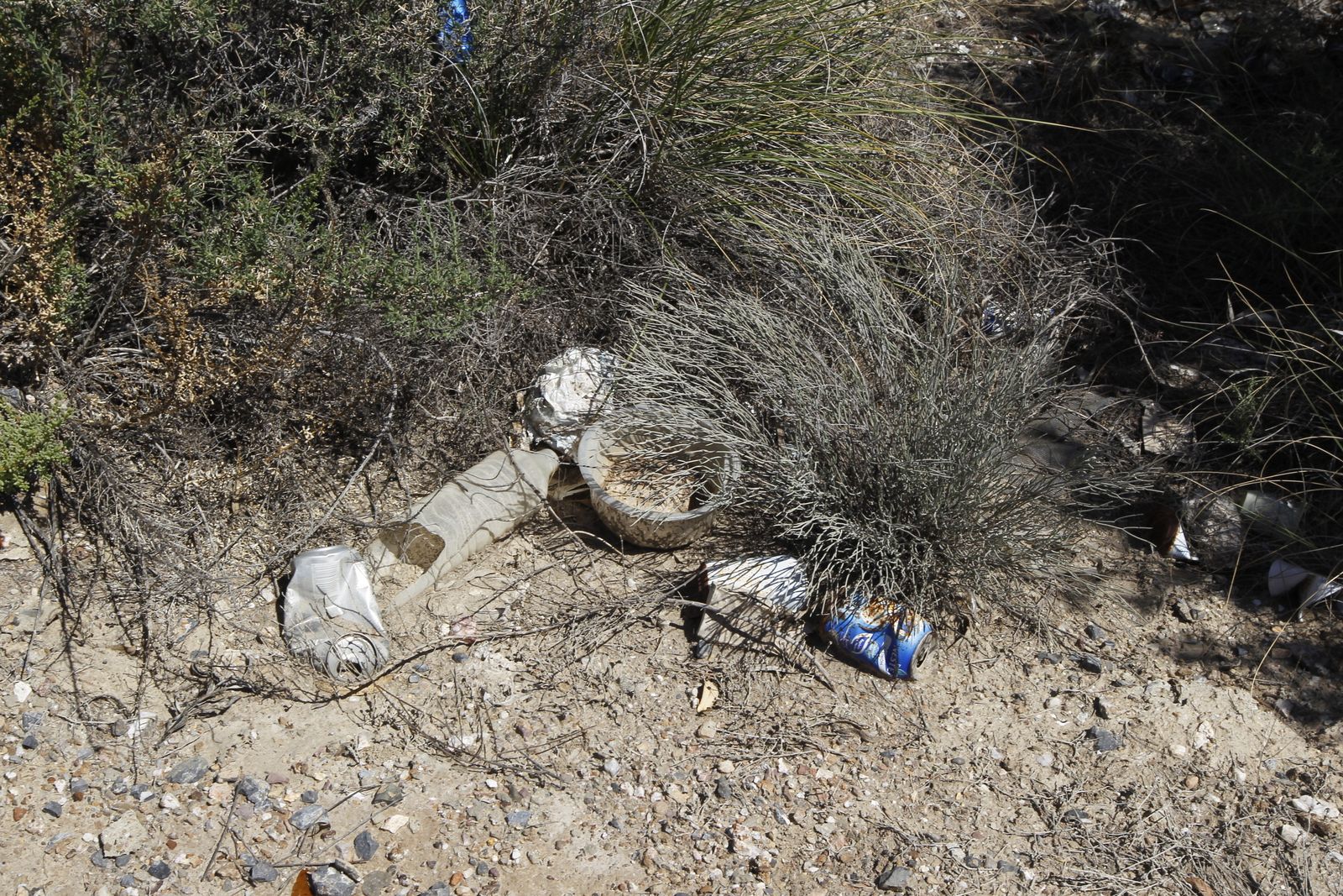 Fotogalería basura en el Desierto de Tabernas
