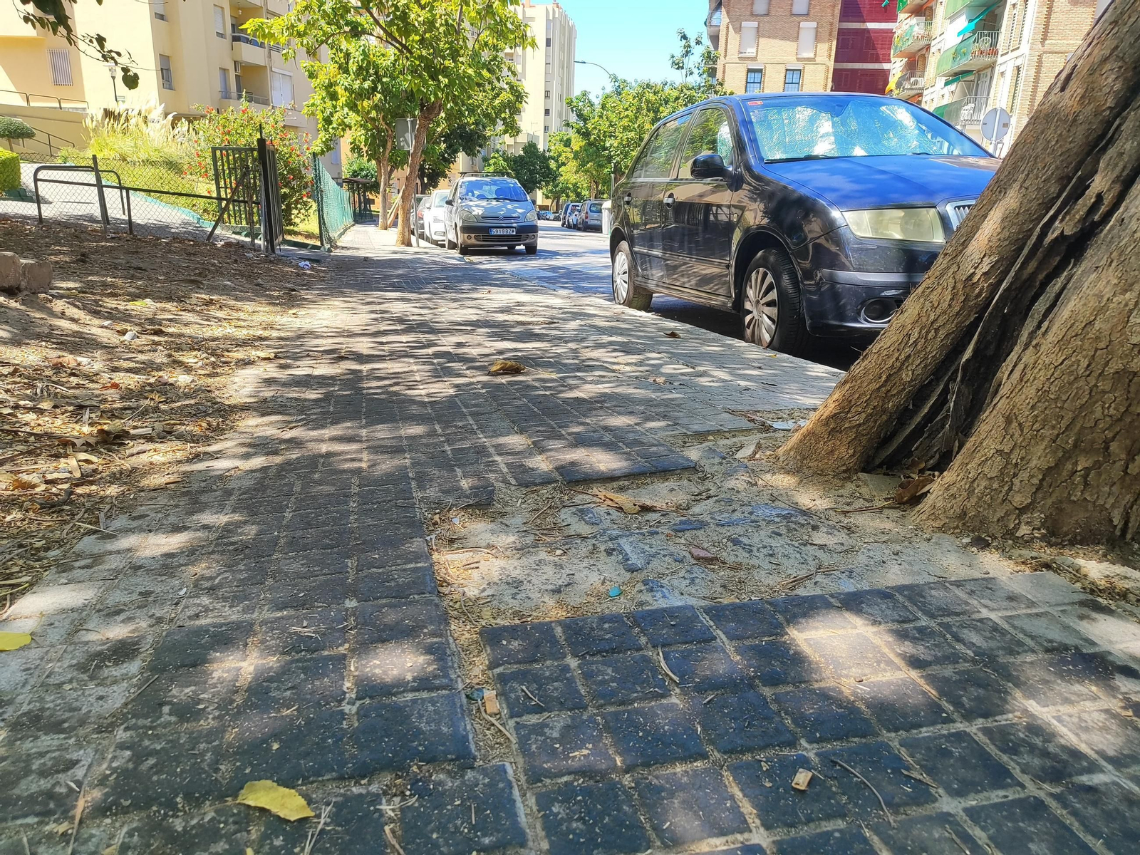 Daños en la acera de la avenida Ramón Puyol de Algeciras Daños en la acera de la avenida Ramón Puyol de Algeciras