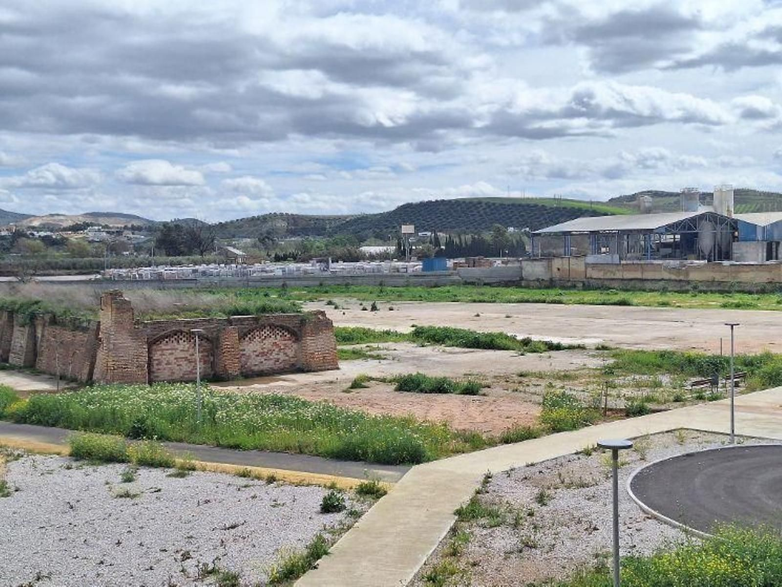 Lugar donde irá campo de futbol de Miragenil.