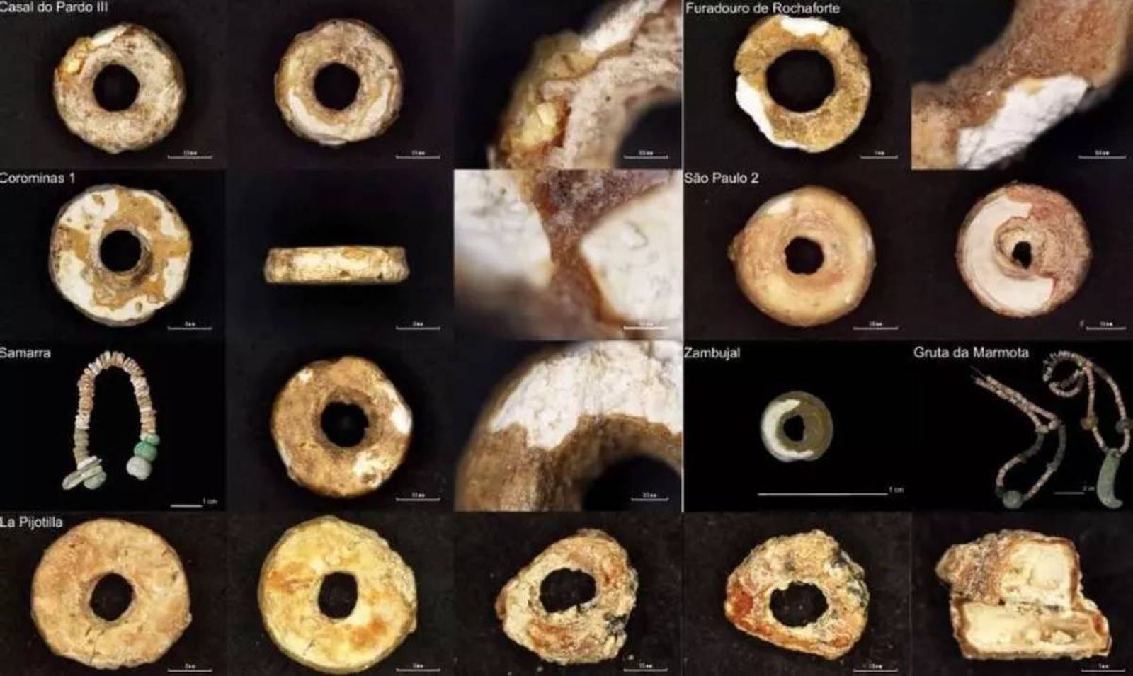 Piezas de ámbar estudiadas por la Universidad de Sevilla