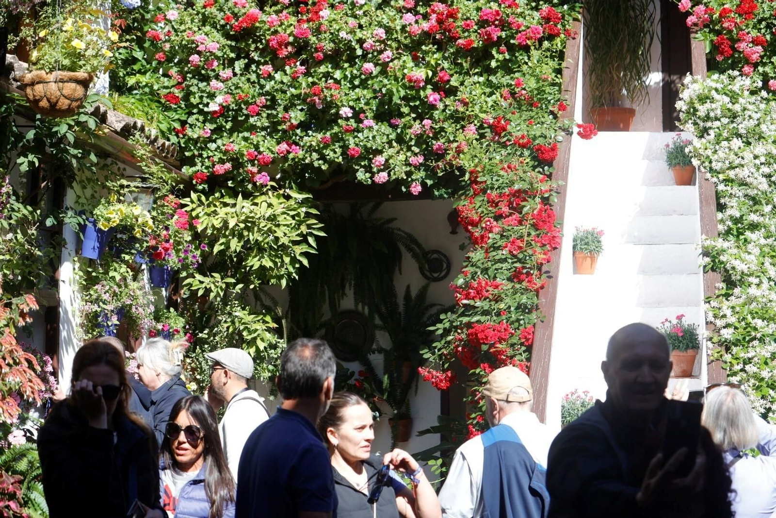 Las mejores imágenes del primer día de Patios en Córdoba