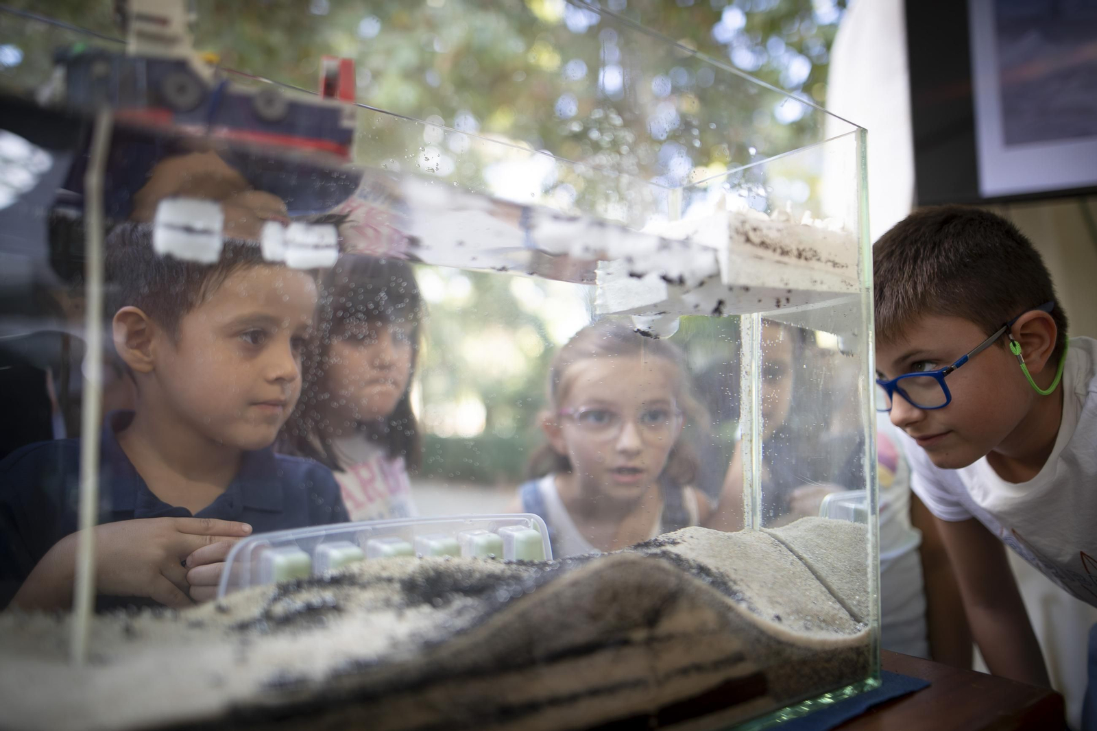 Noche Europea de los (14896772).jpg