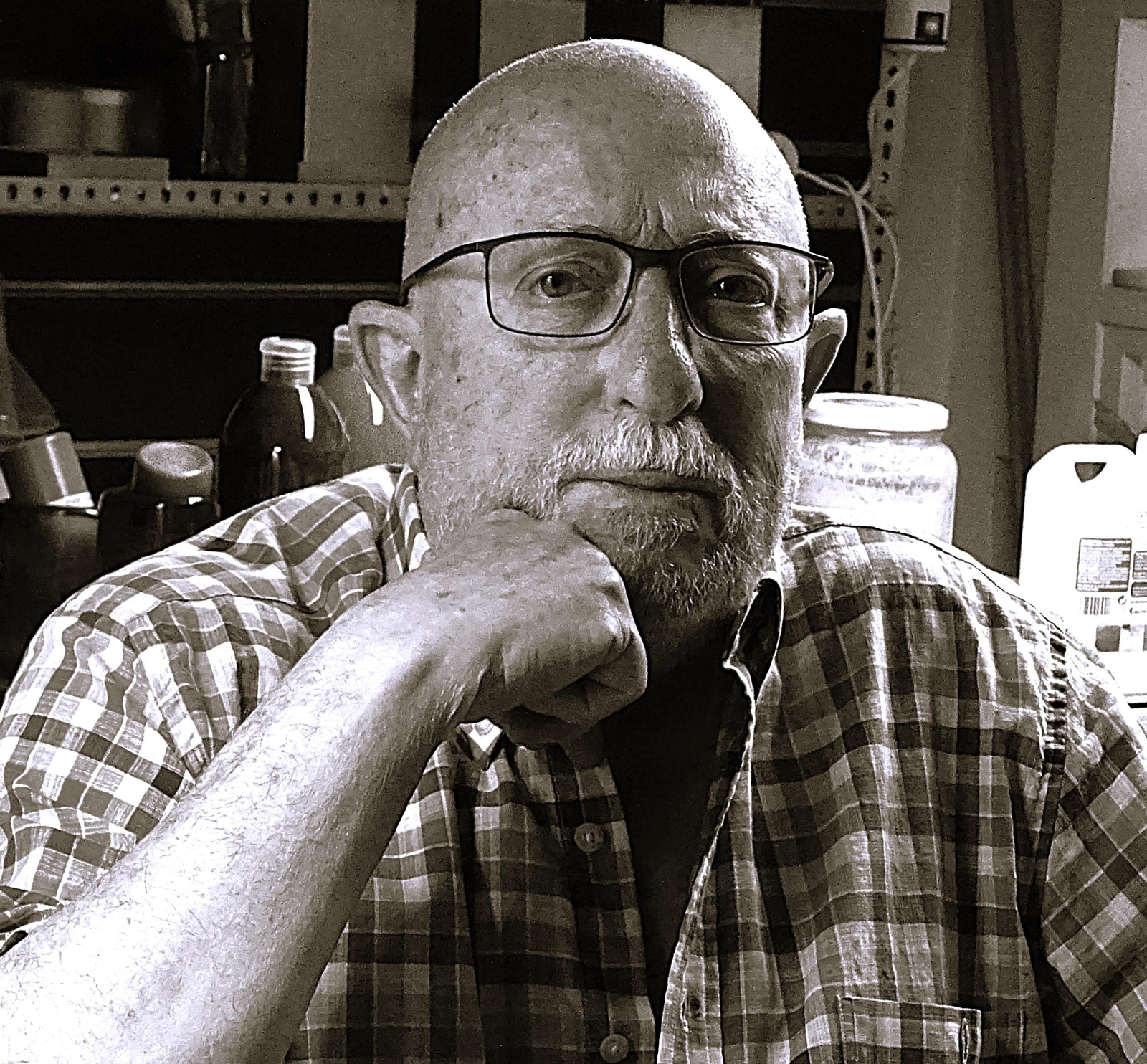 Bernardo Collado