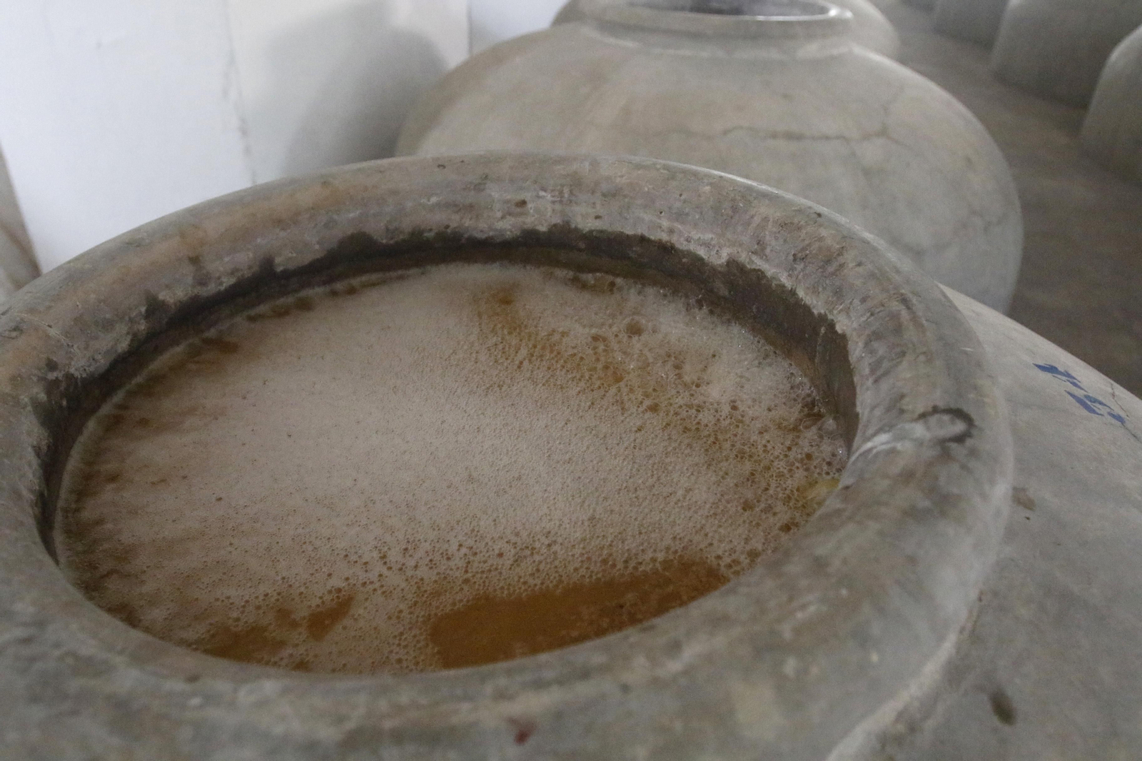 La vendimia en Montilla-Moriles, en fotografías