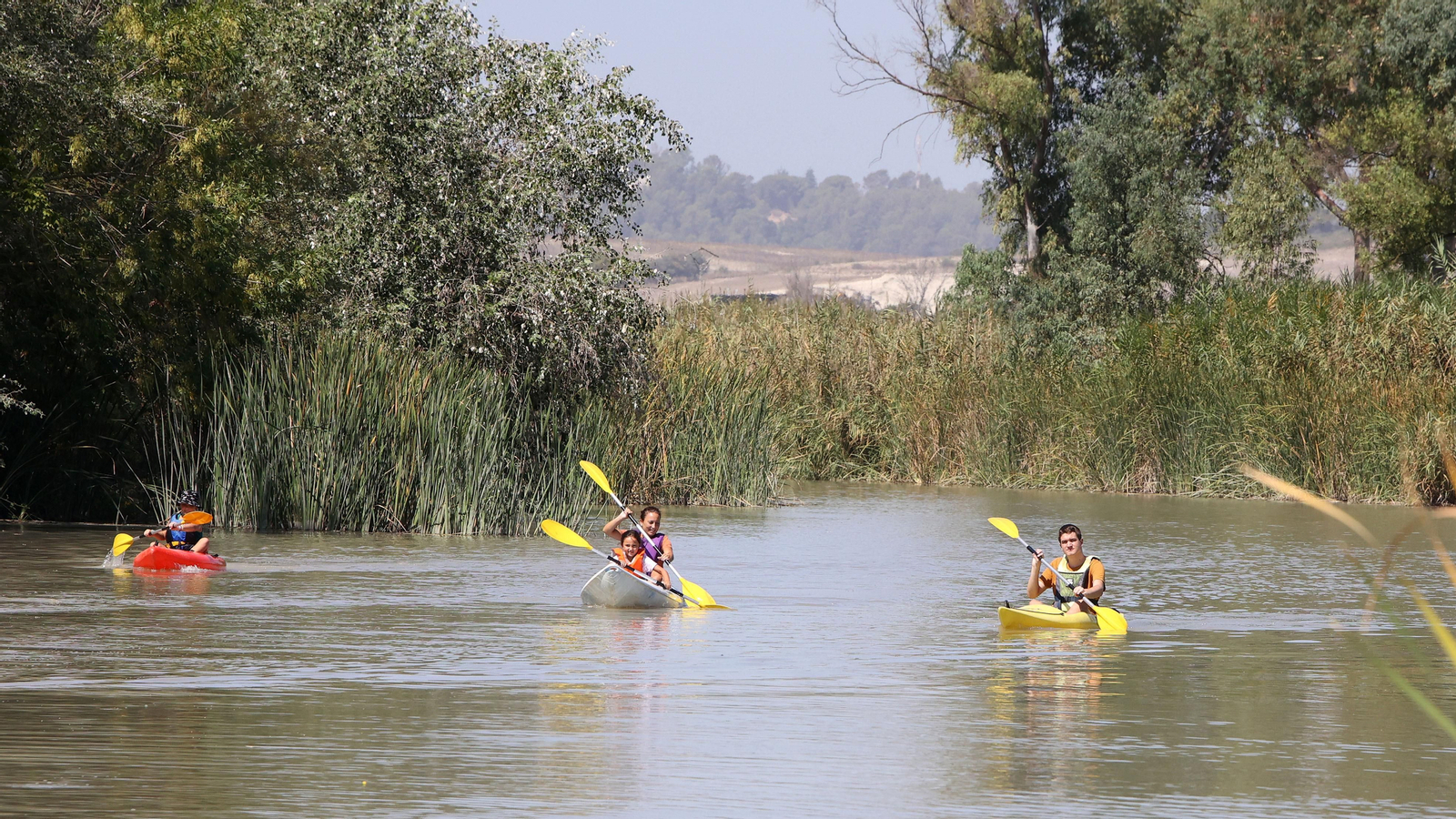 Paseo por el Guadalete en Kayak