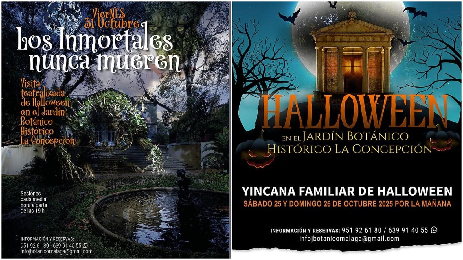 Así anuncian las actividades desde el Jardín Botánico.