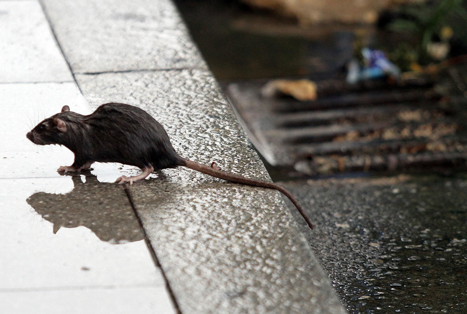 Imágenes del temporal de lluvia en Huelva.