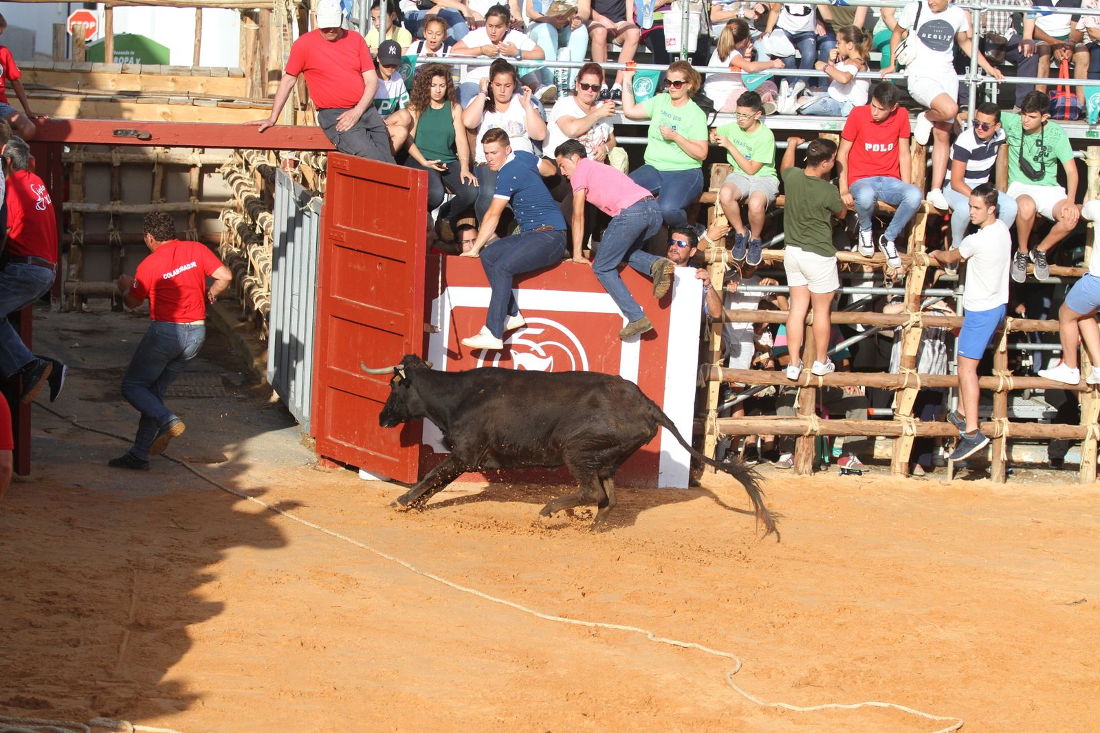 Comienzan las capeas en San Juan del Puerto