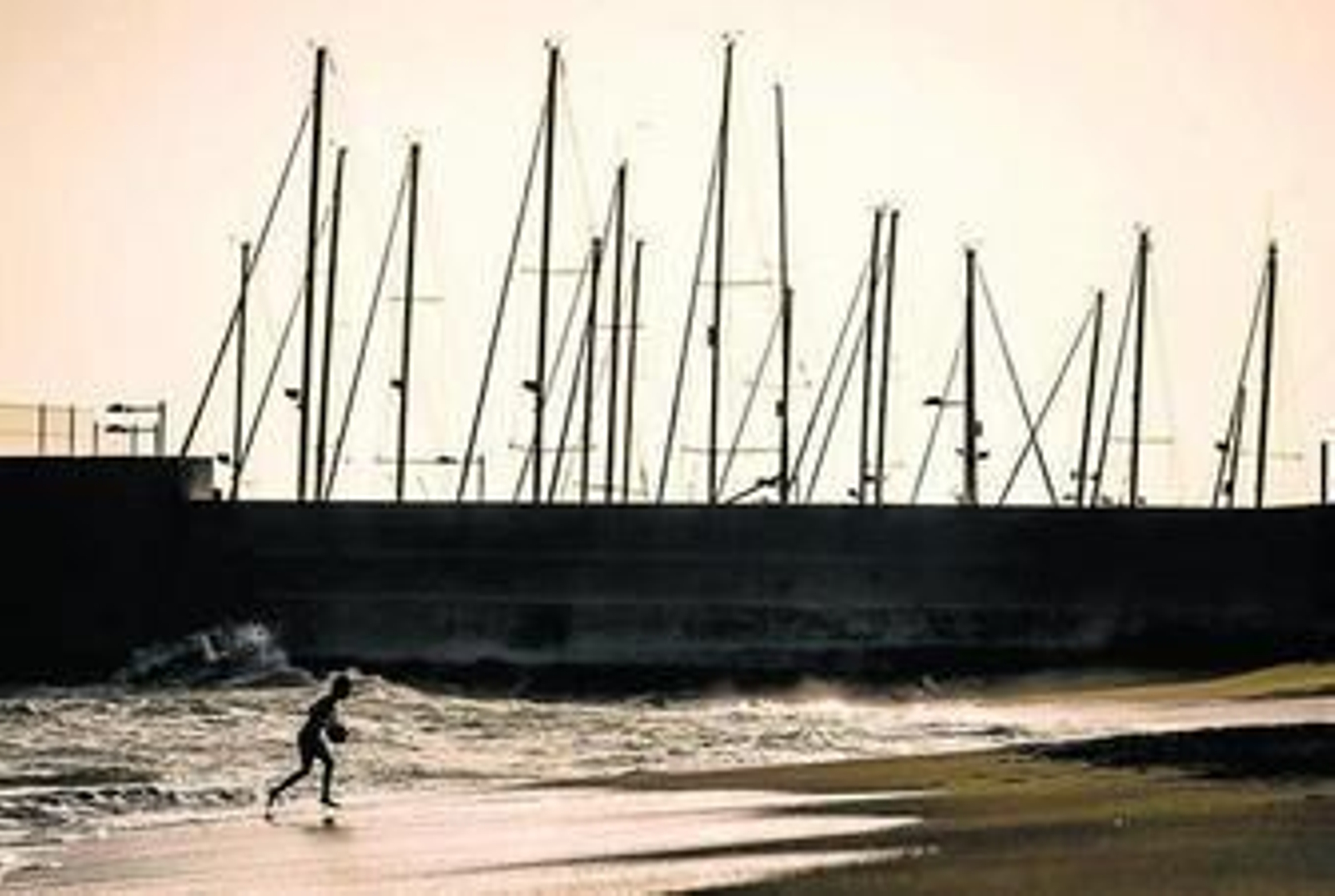 La playa Venus de Marbella.