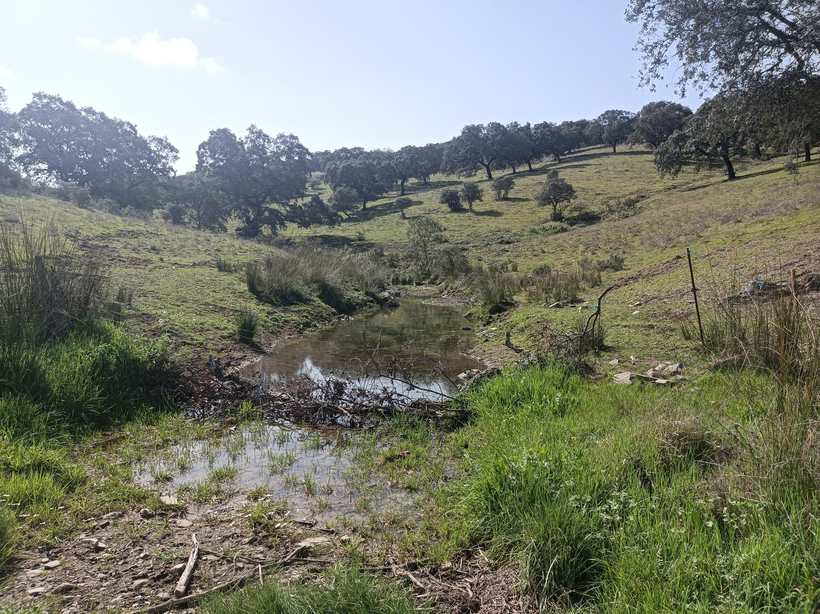 Fotos de la georruta de La Lobera