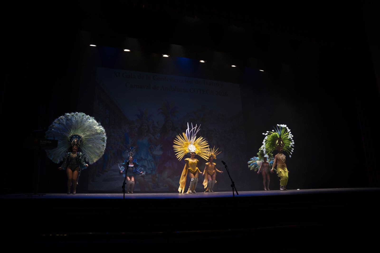 Galería de la XI Gala Coteca del Carnaval de Almería